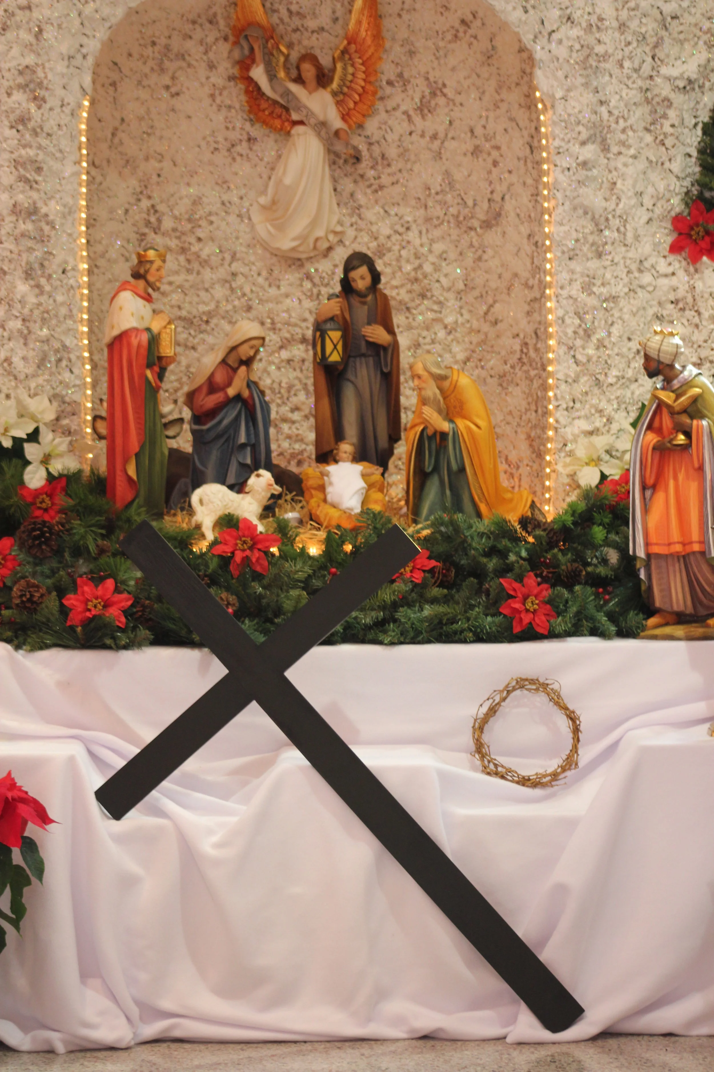 Homily from Sr. Cecilia Maria's Mass of Perpetual Religious Profession