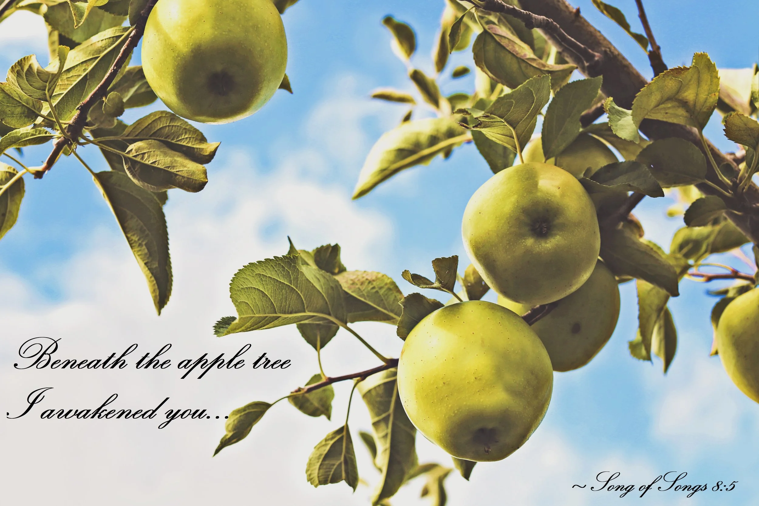 Original Photo by Thomas Kelley on Unsplash - text our addition