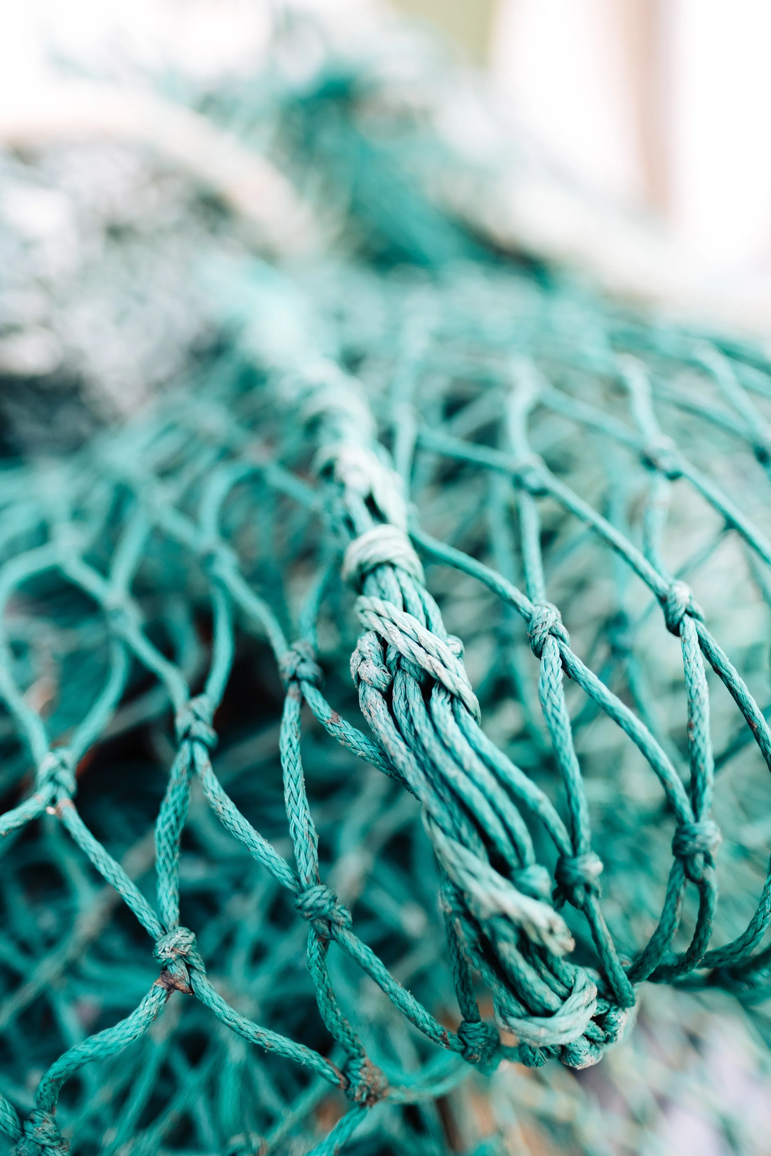 Fishing in the Sea of the Passion: Humility