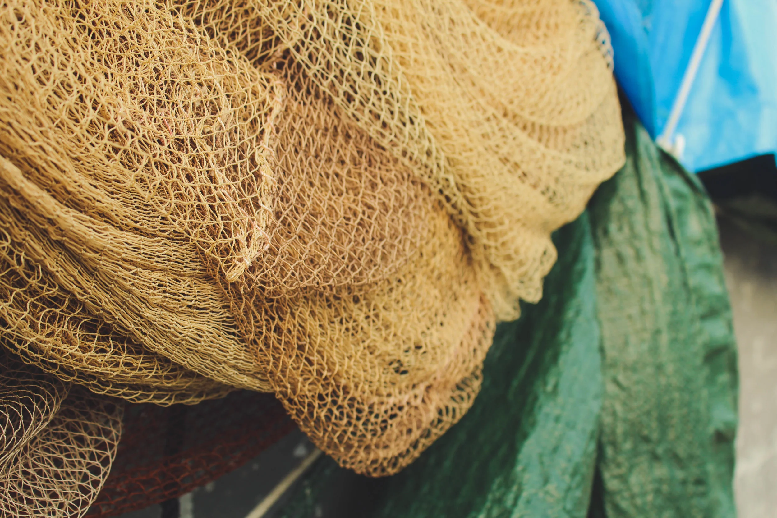 Fishing in the Sea of the Passion: Loving Obedience