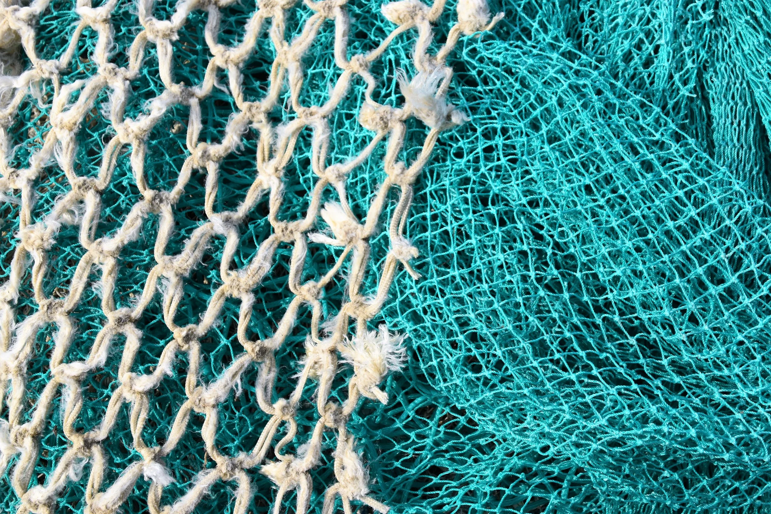 Fishing in the Sea of the Passion: Trust