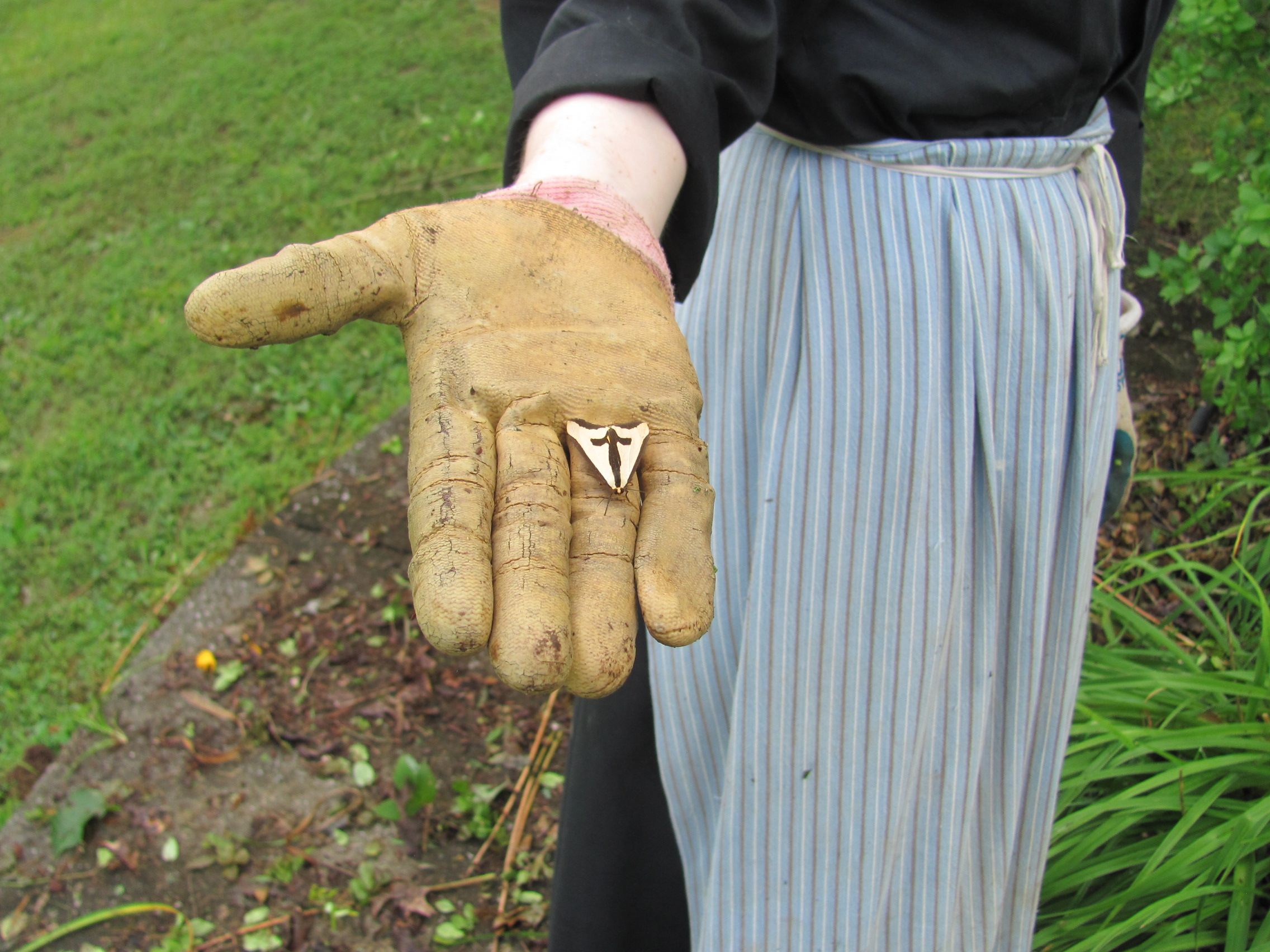  Sr. Maria Faustina shows off a moth she found.  Look at the cross on its wings! 