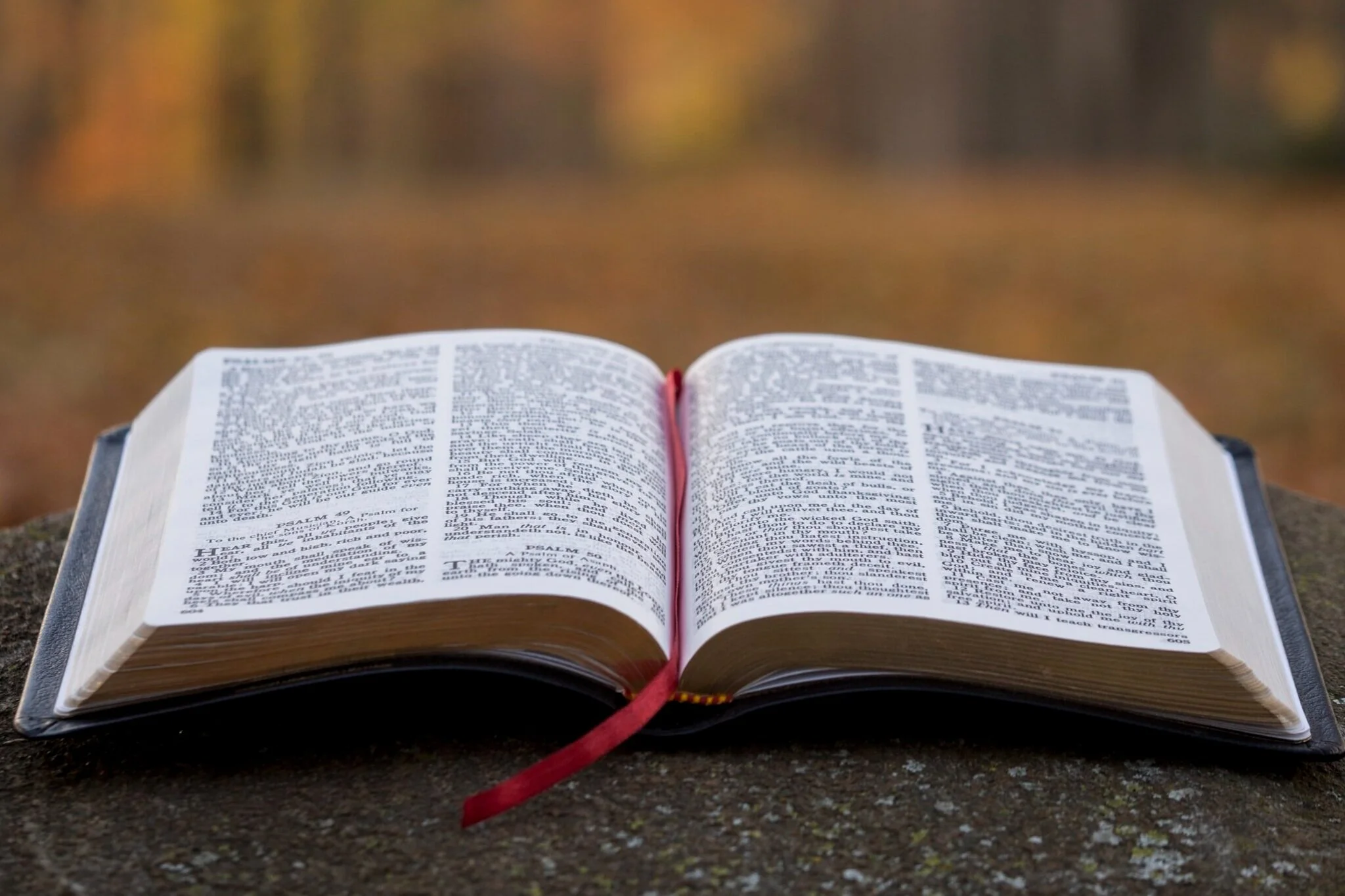 Breaking Open the Word - 32nd Sunday of Ordinary Time, Year B
