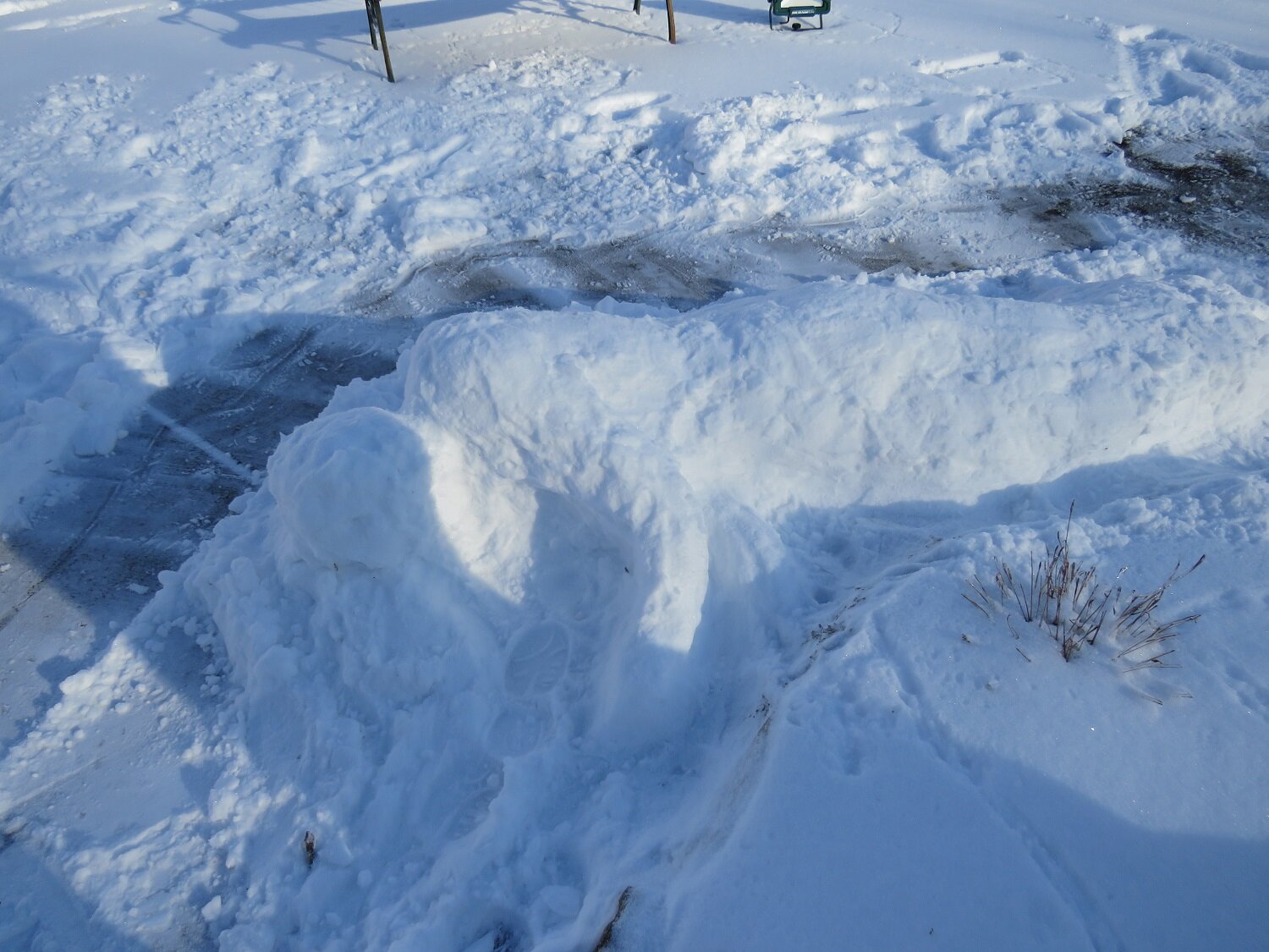  Can you guess what this snow sculpture is? (Hint: it was Sr.  Cecilia  Maria’s idea …) 
