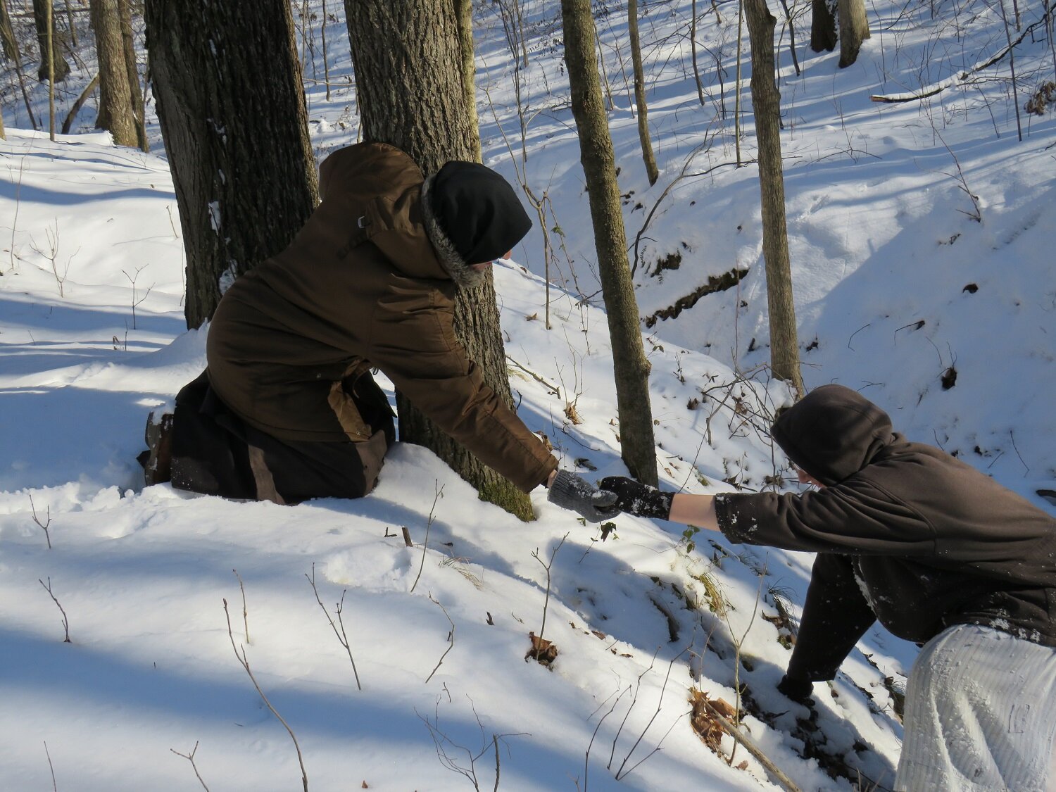  Crossing a deep ravine in the snow takes teamwork! 
