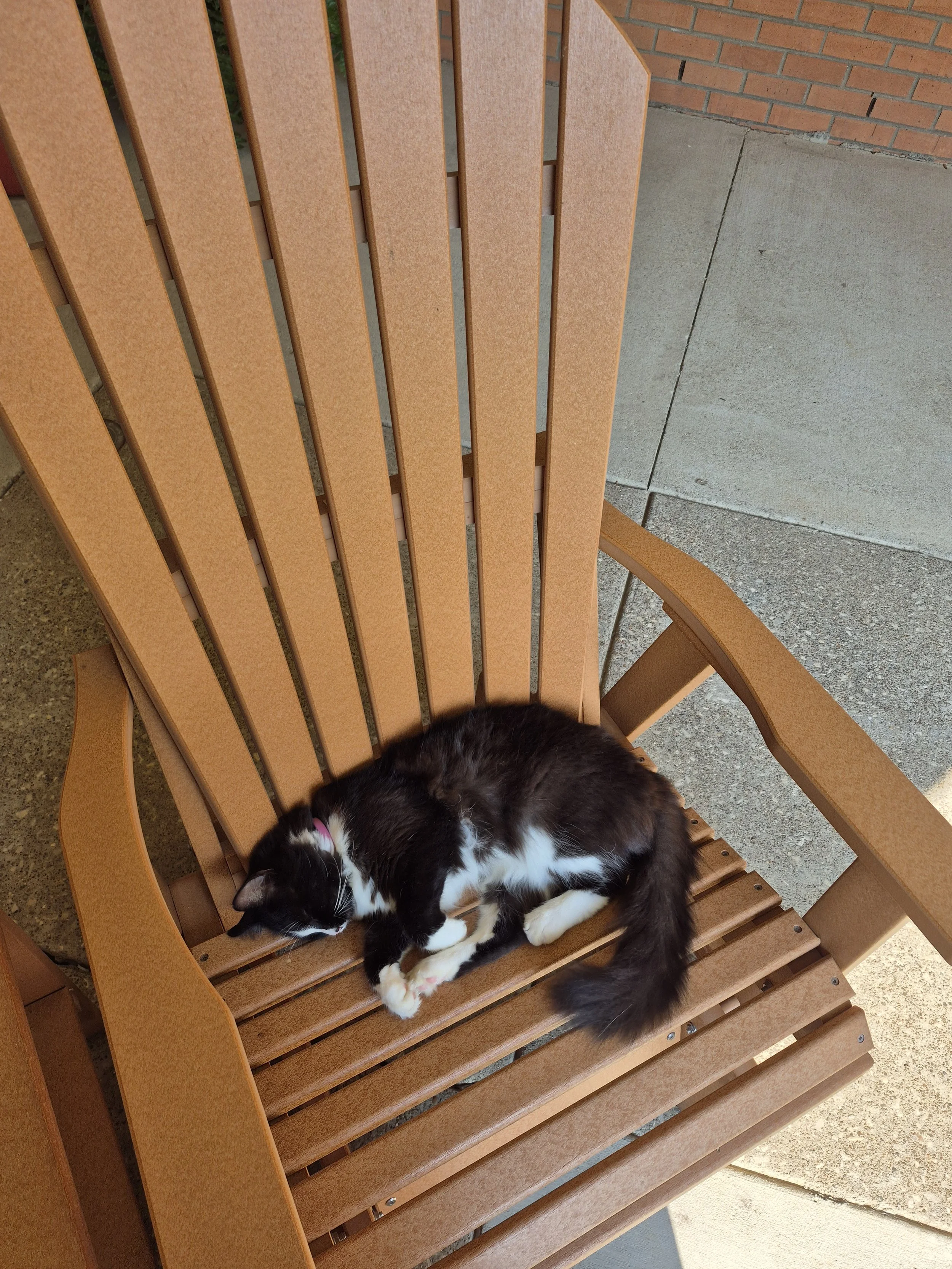 The “Prince” on his Throne