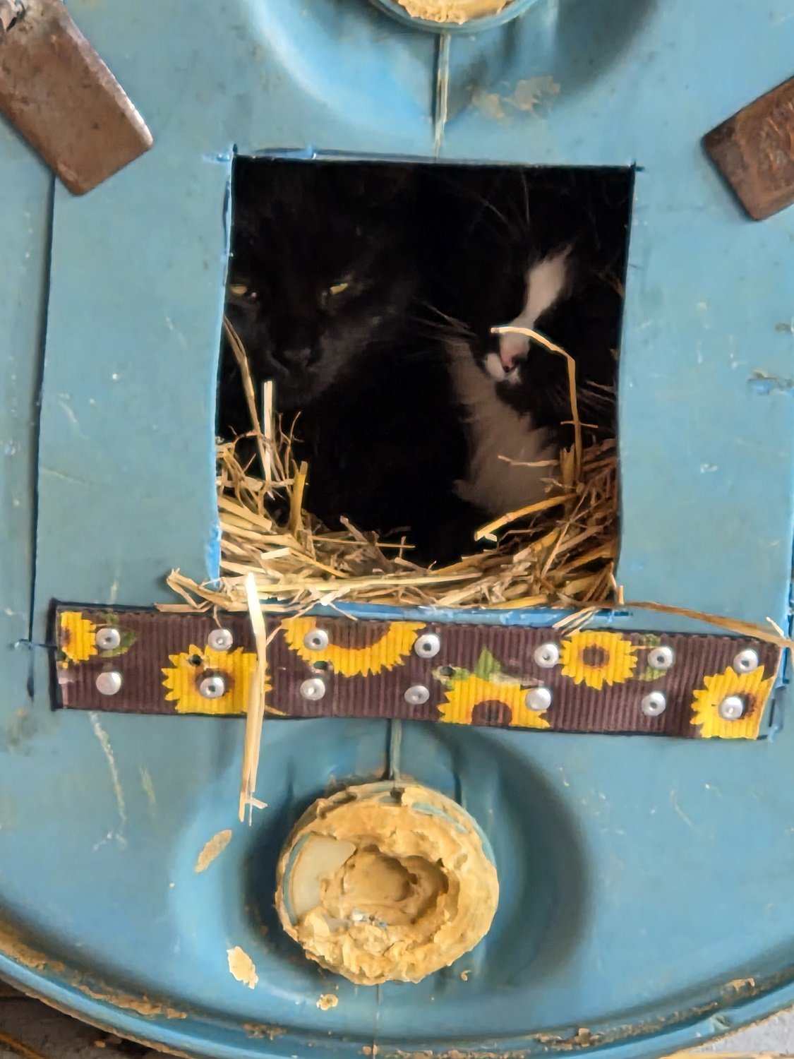  J and N, hunkered down in their warm barrel of straw on a cold winter’s day 