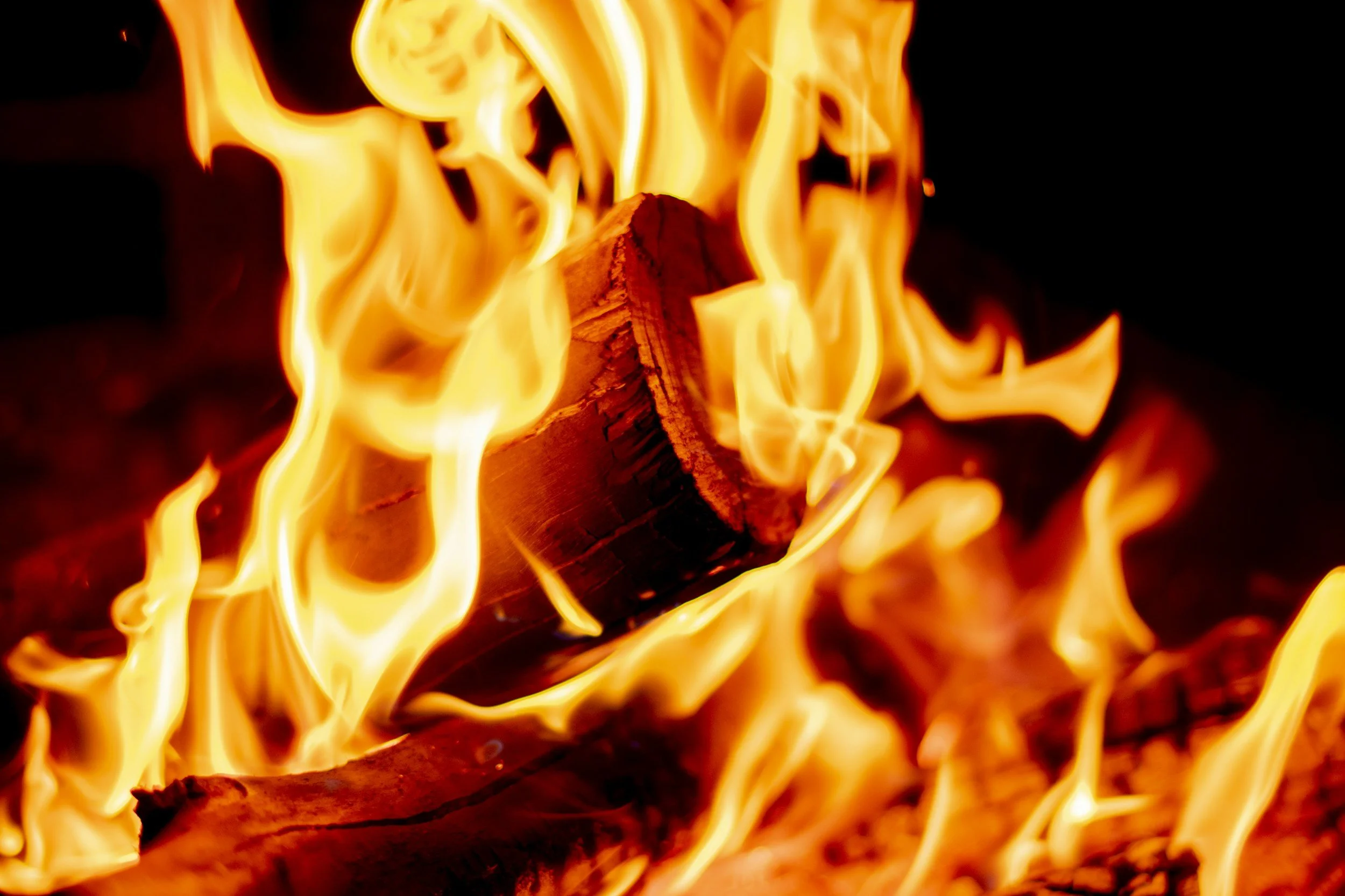 A Word from St. Paul of the Cross