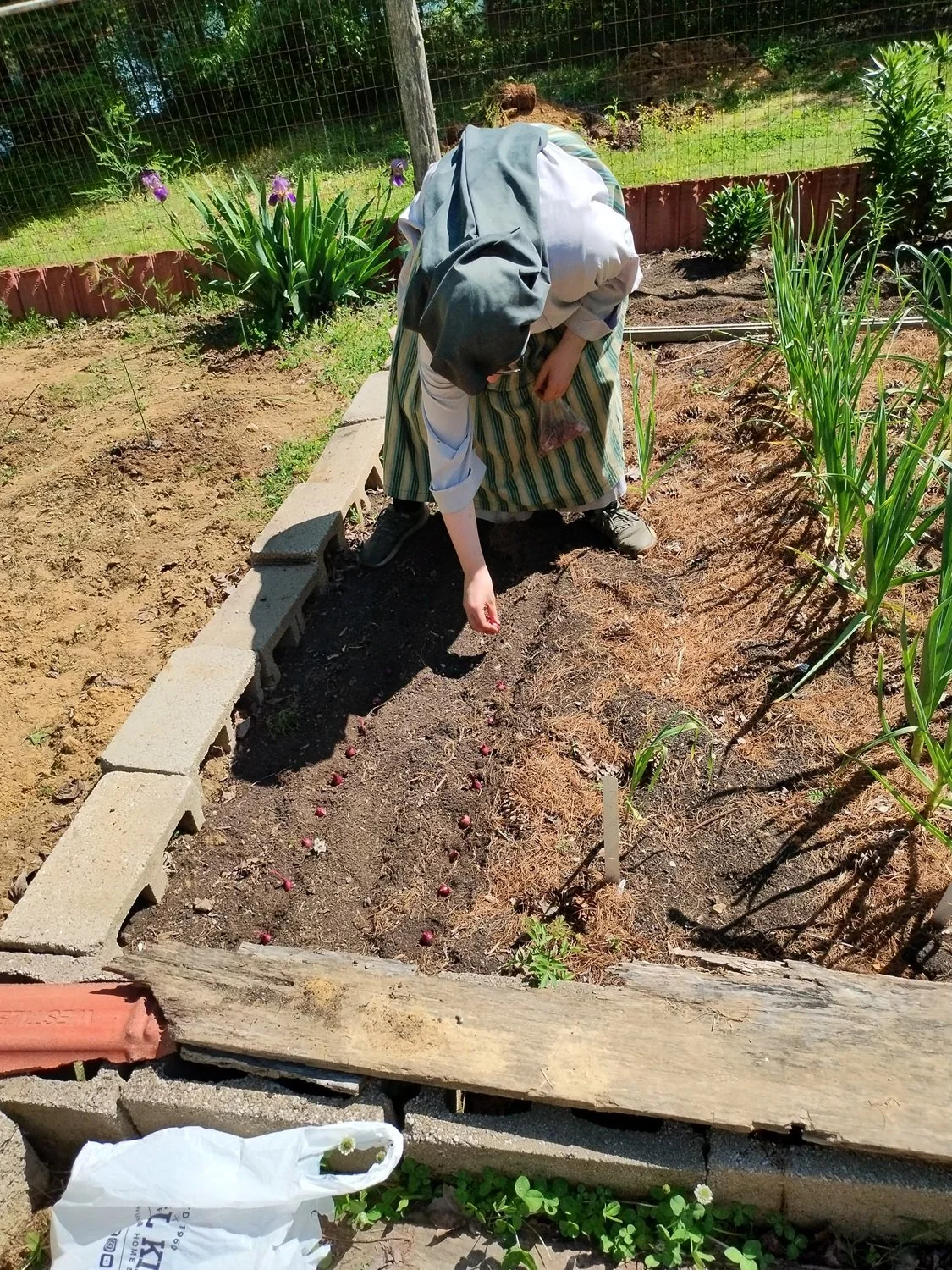 Sr. Miriam Esther planting seed onions 