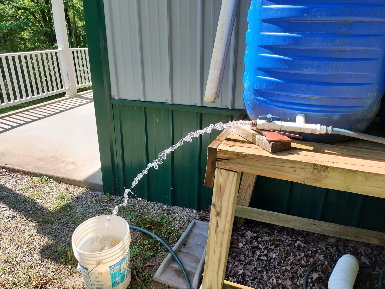  Our rain barrels have been a huge help in keeping the garden plants hydrated - they hold enough water to last us through two weeks or more of no rain! 