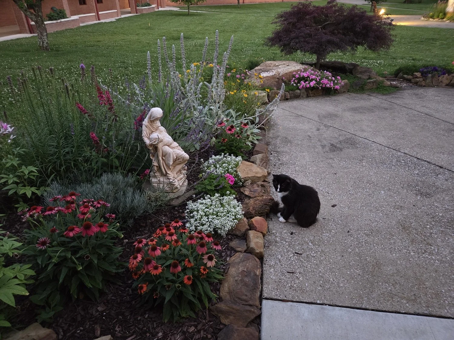  Josē making his devotions - or is he just eyeing the toad that’s sitting on the rocks in front of him? 