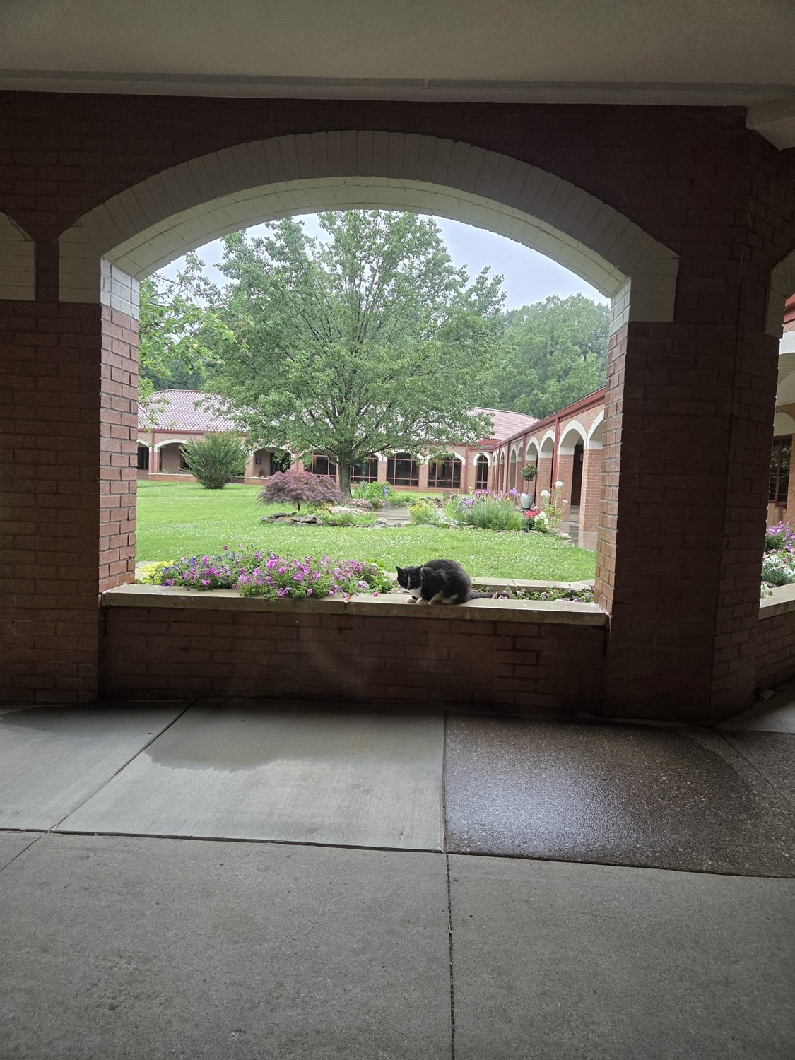  Josē is such a funny cat … he doesn’t seem to mind being out in the rain! 