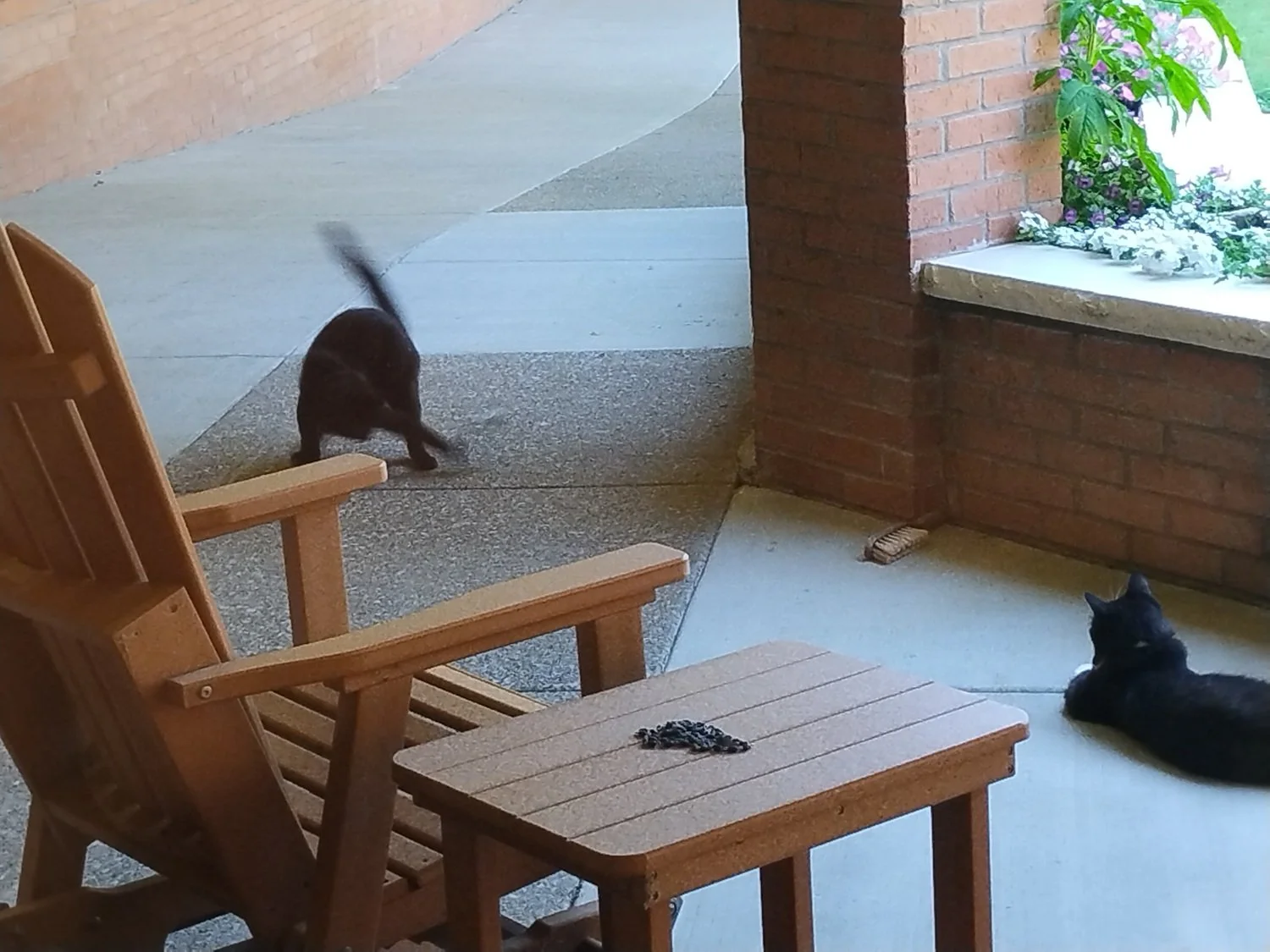  Nico playing with his dinner while Josē looks on with an air of benign superiority … he  is  6 months older, after all. 