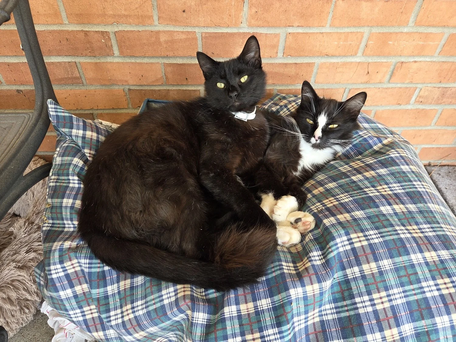  Personal space? What’s that? 