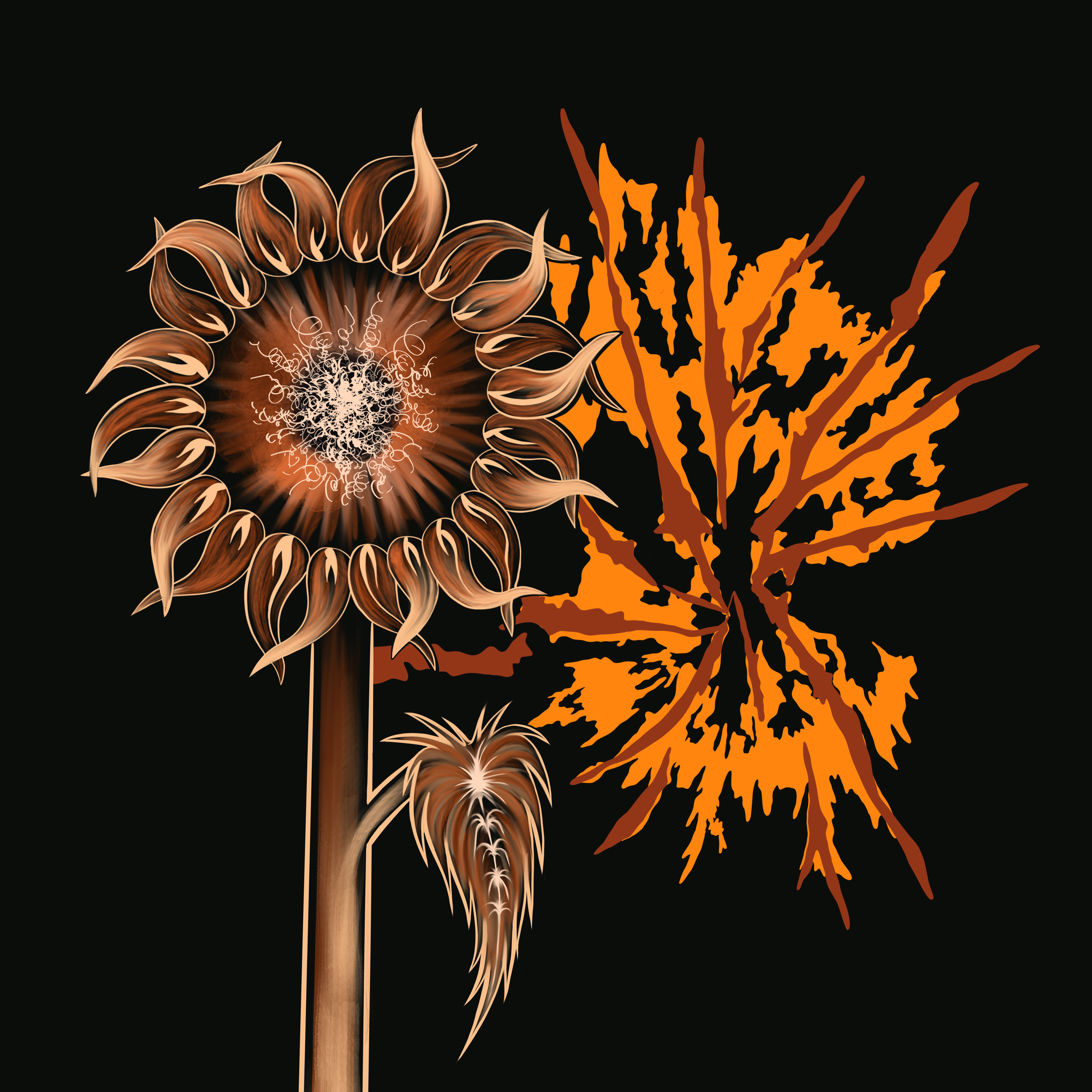 IMG_5514.png