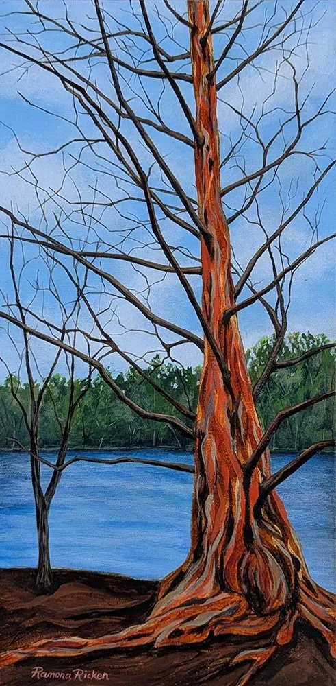 Grenadier Pond Redwood