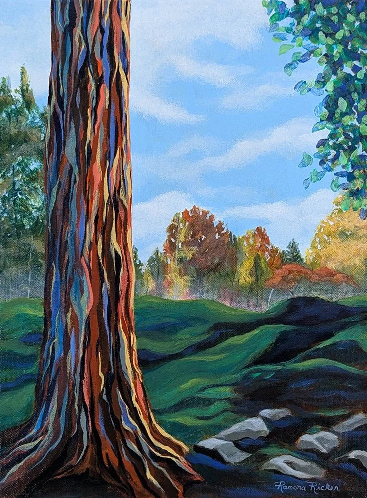 Rooted in a City Park