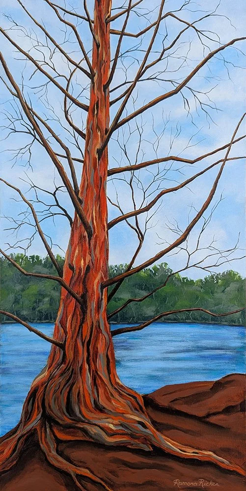 Grenadier Pond Redwod