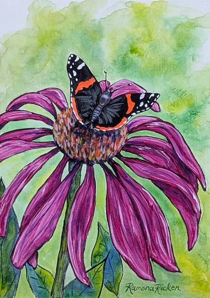Coneflower Perch