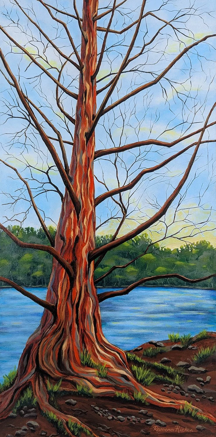 Grenadier Pond Redwood