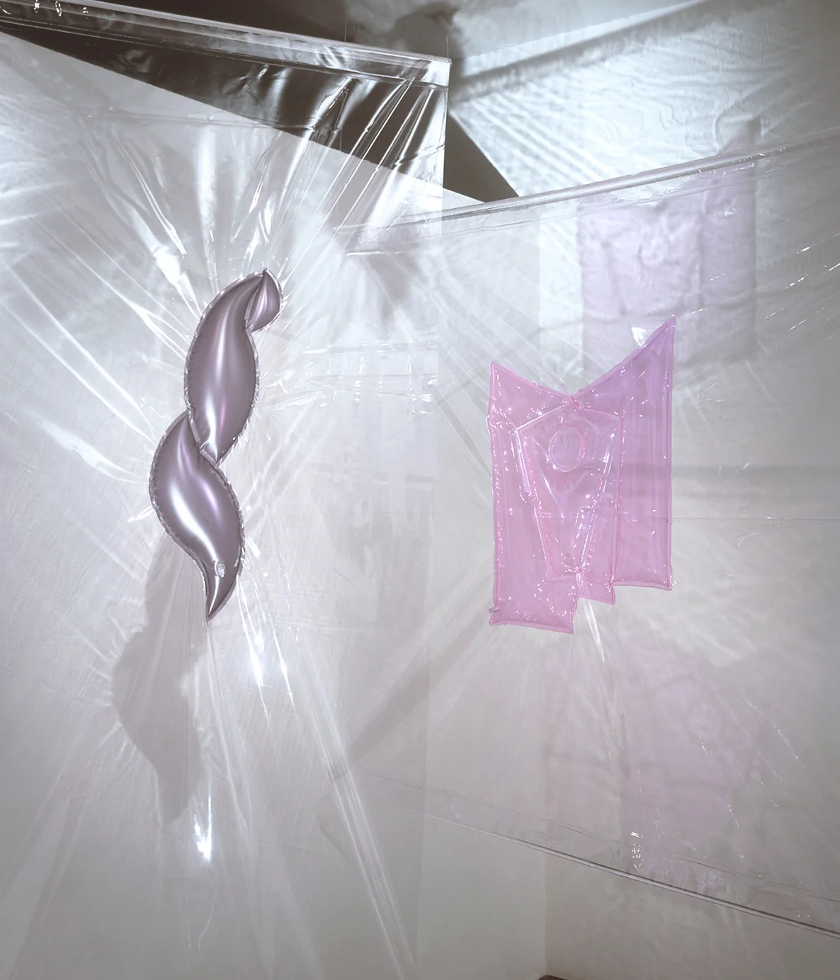 Inflated Panels 2003 (detail) each panel 48x80 inches /123 x 203 cm
