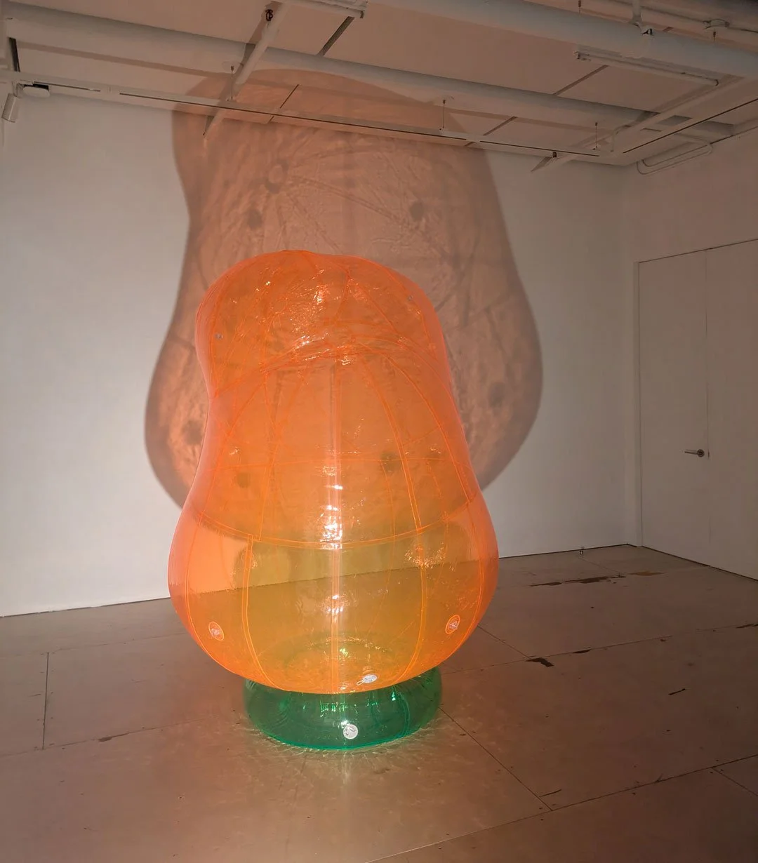 for-web-Balls-Dietl-2026.jpg