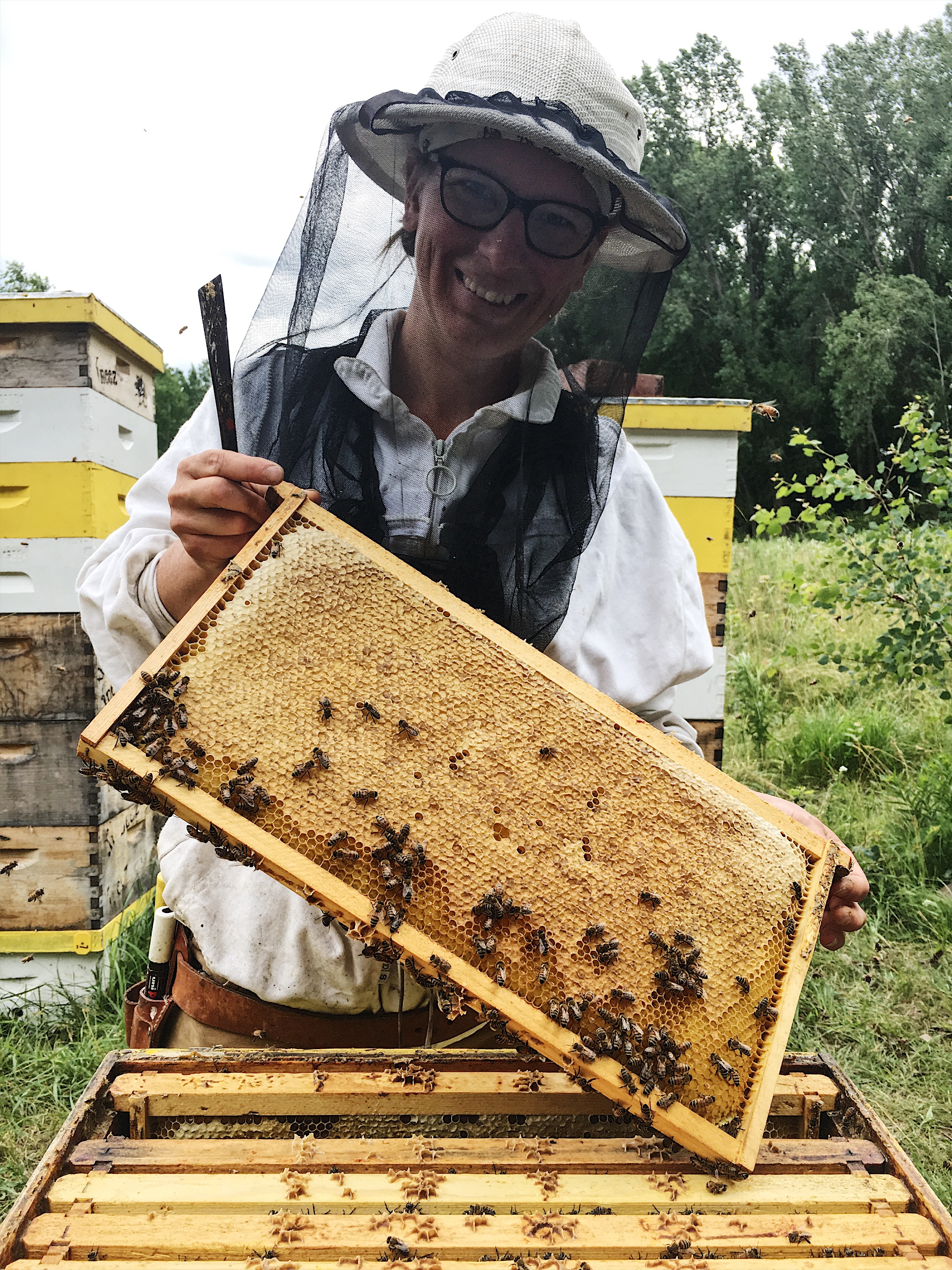 Beekeeping practices
