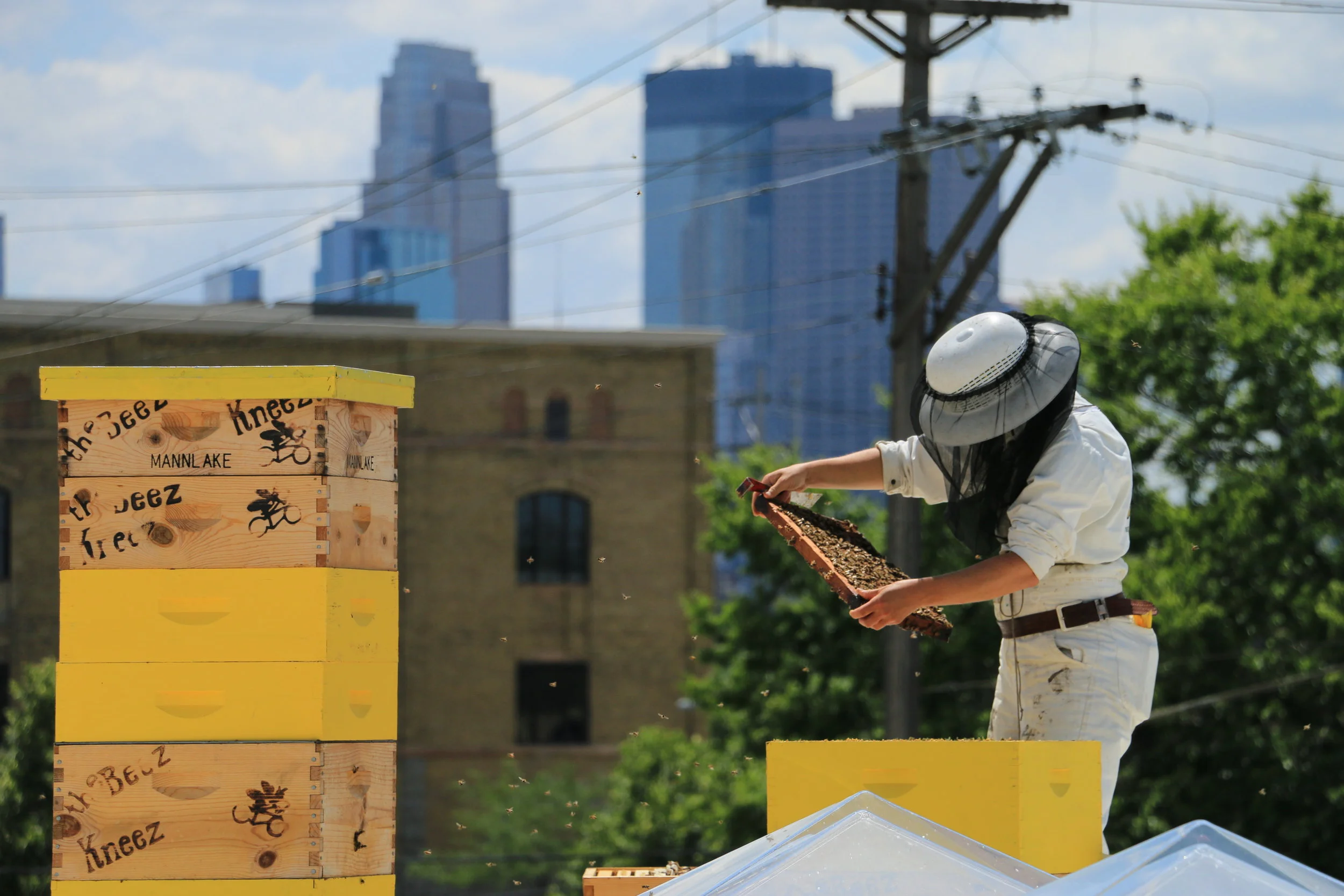 Urban Apiary Partners