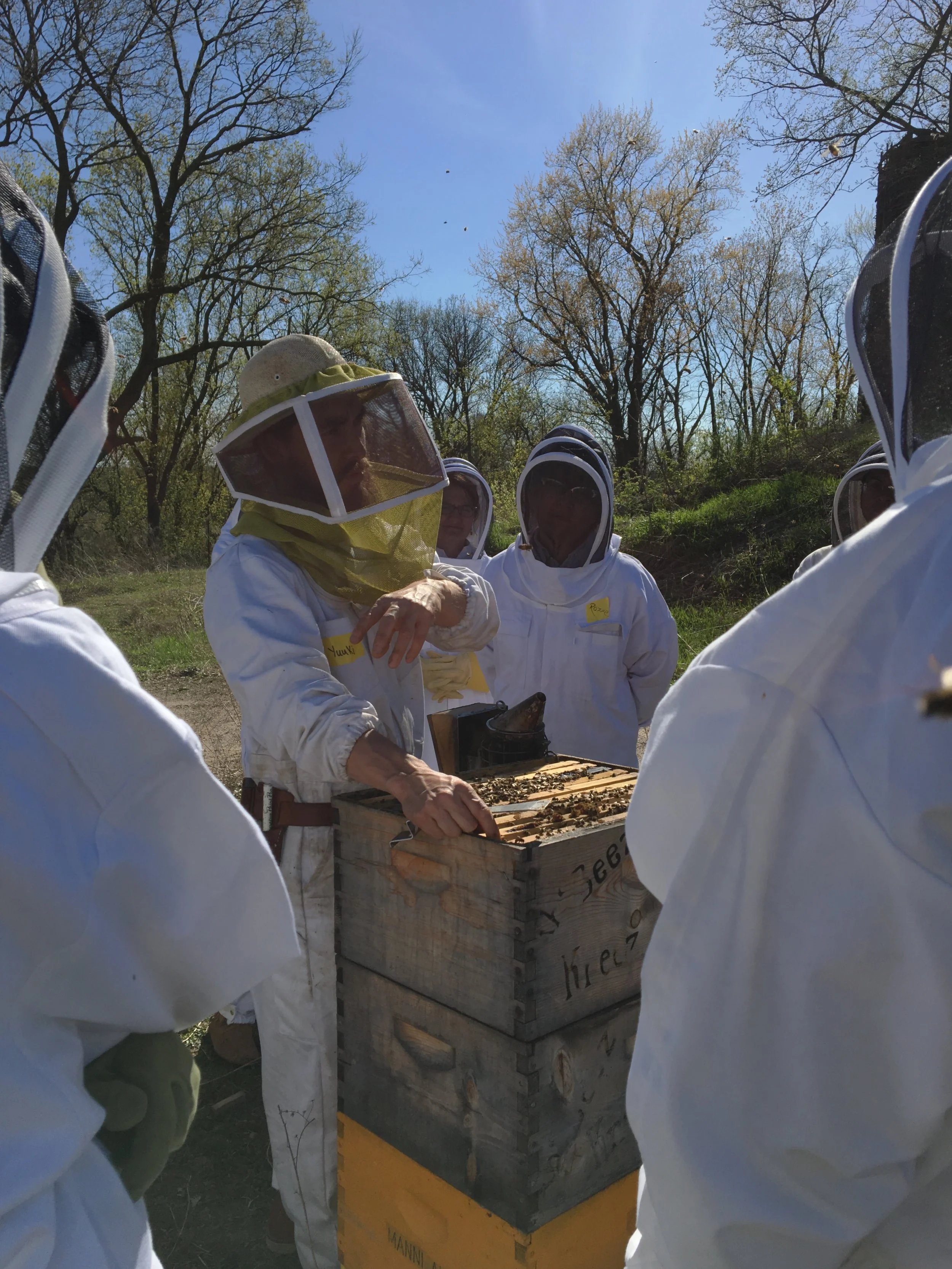 Raw Camp Beez Kneez Wildflower — The Beez Kneez LLC