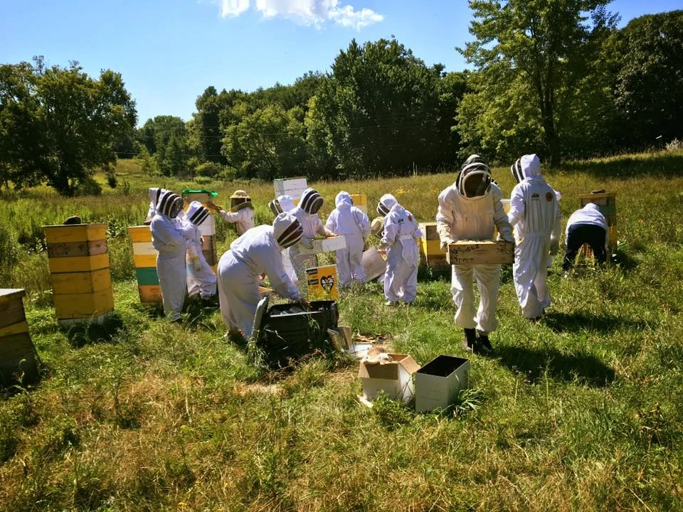 Beekeeper Education