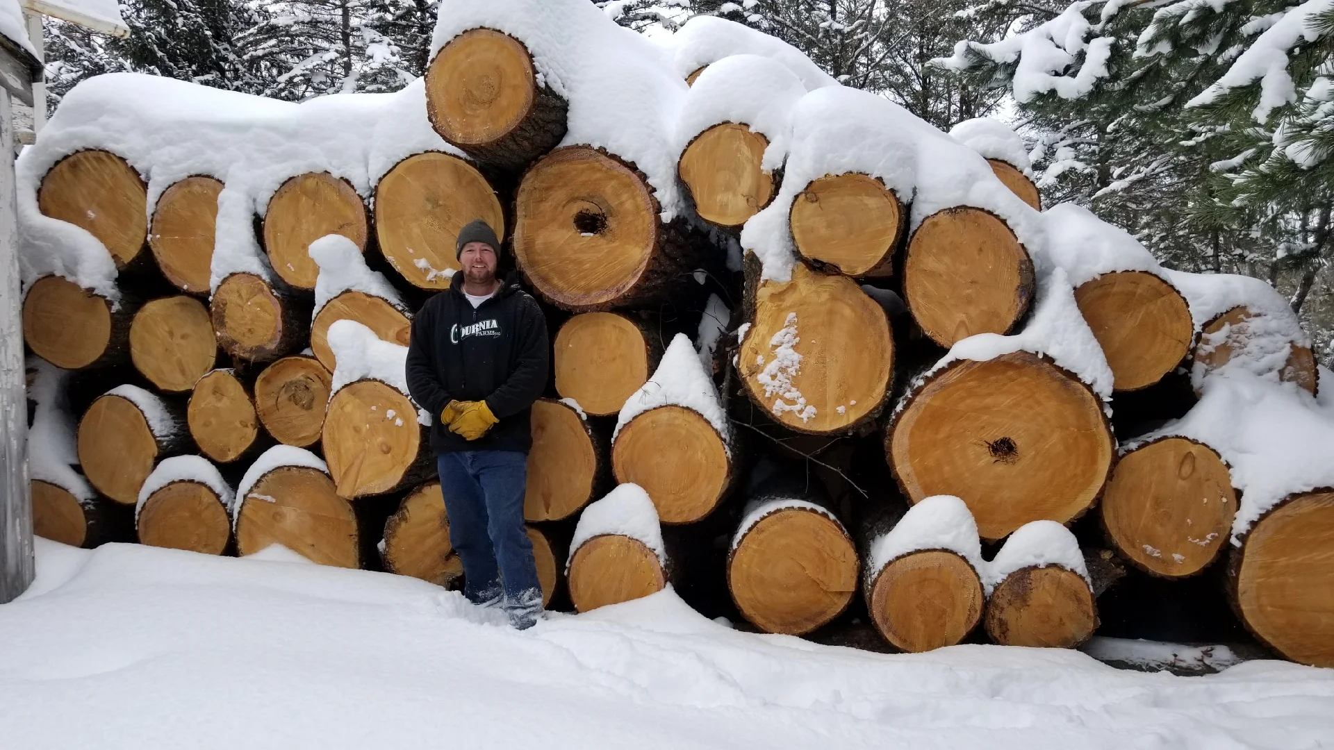 Owner and sawyer of Propolis Hive Company Christian Dahm