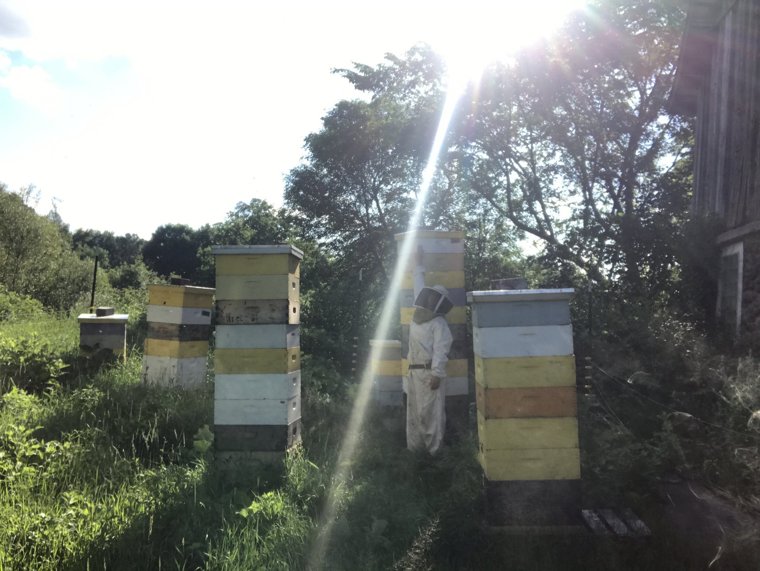 Beeswax Blocks — The Beez Kneez LLC