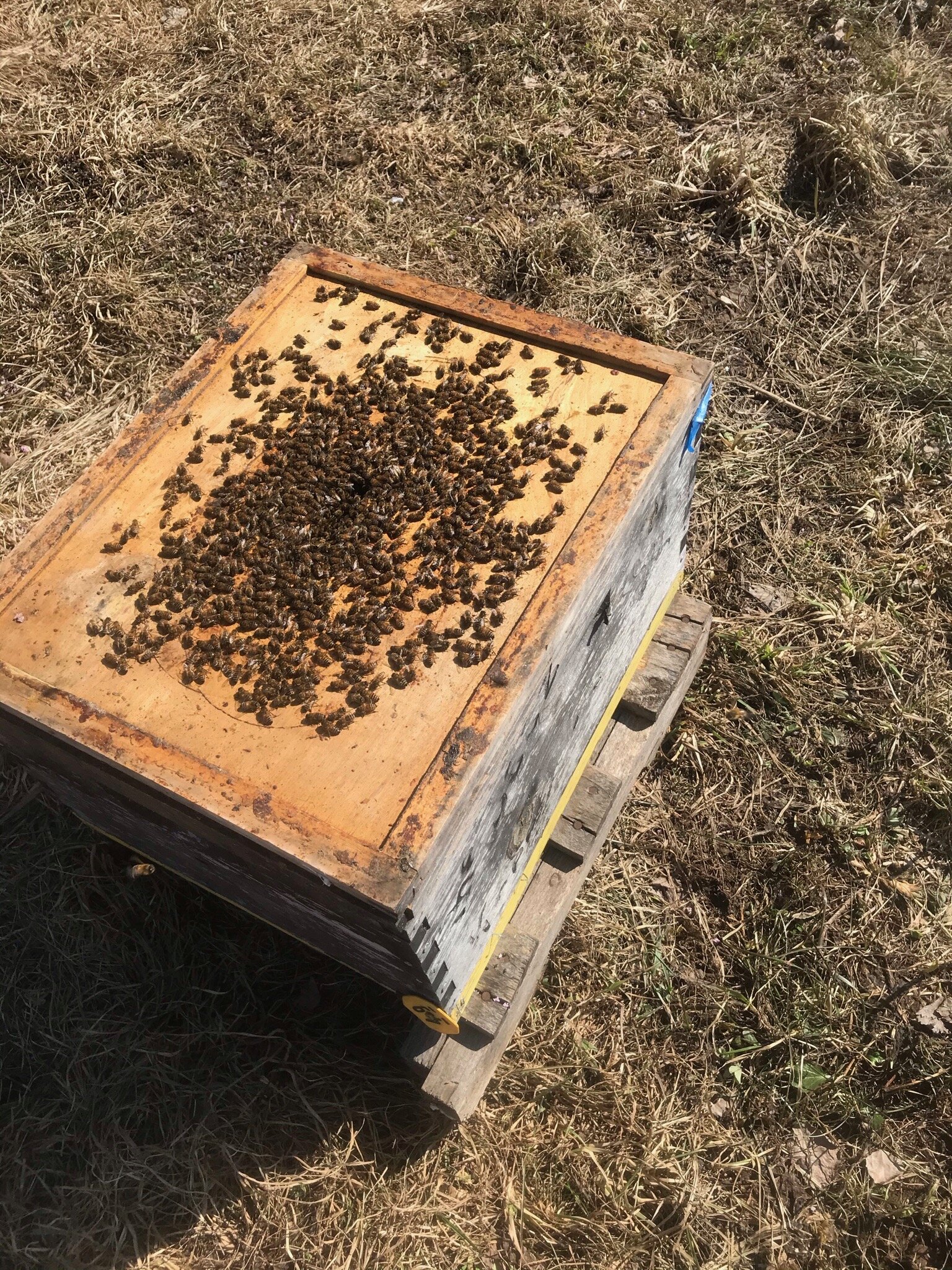 Bee Z Hive System., Bee Z Hive