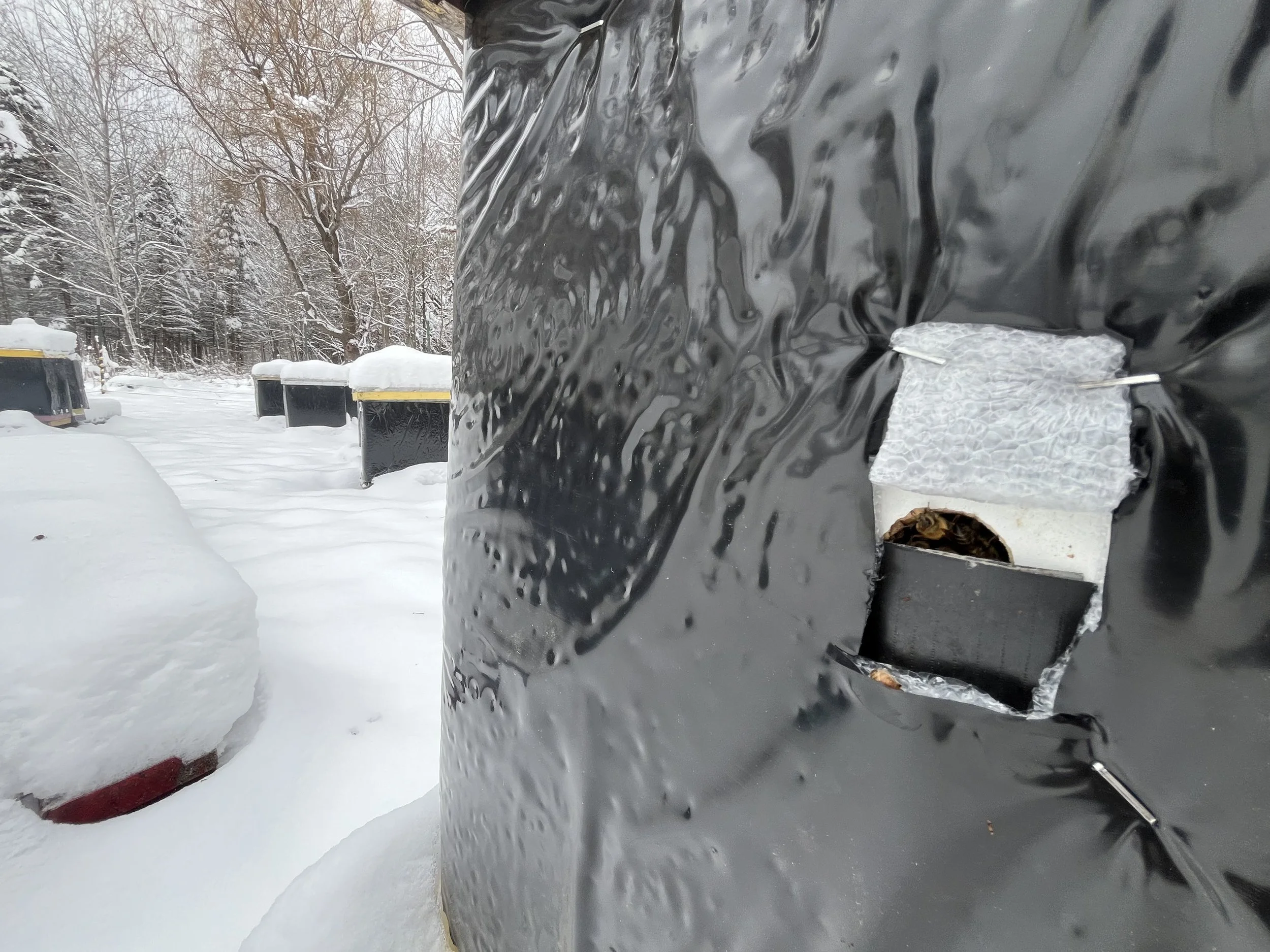 WHAT SHOULD I BEE DOING IN DECEMBER 2019