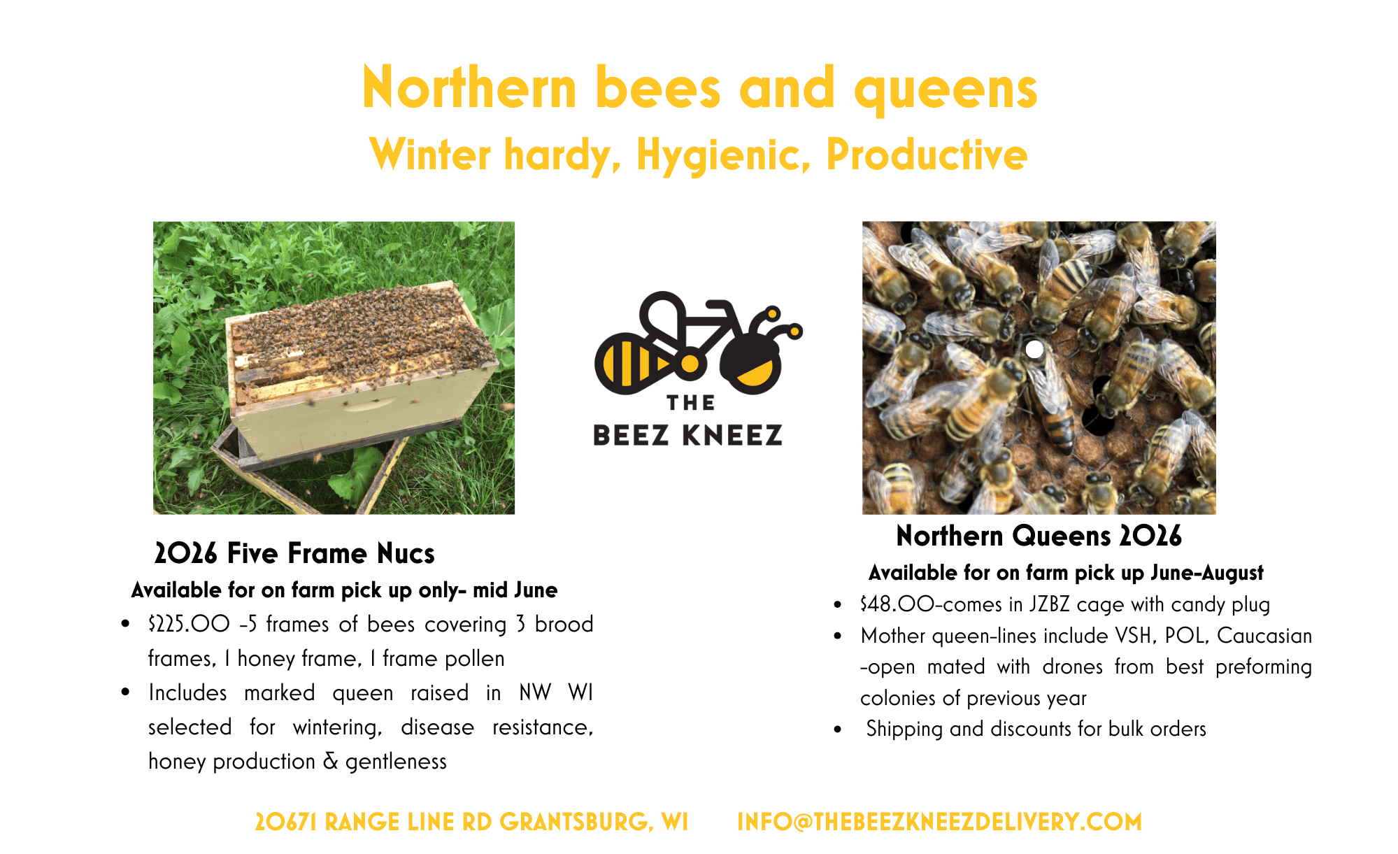 The Beez Kneez LLC
