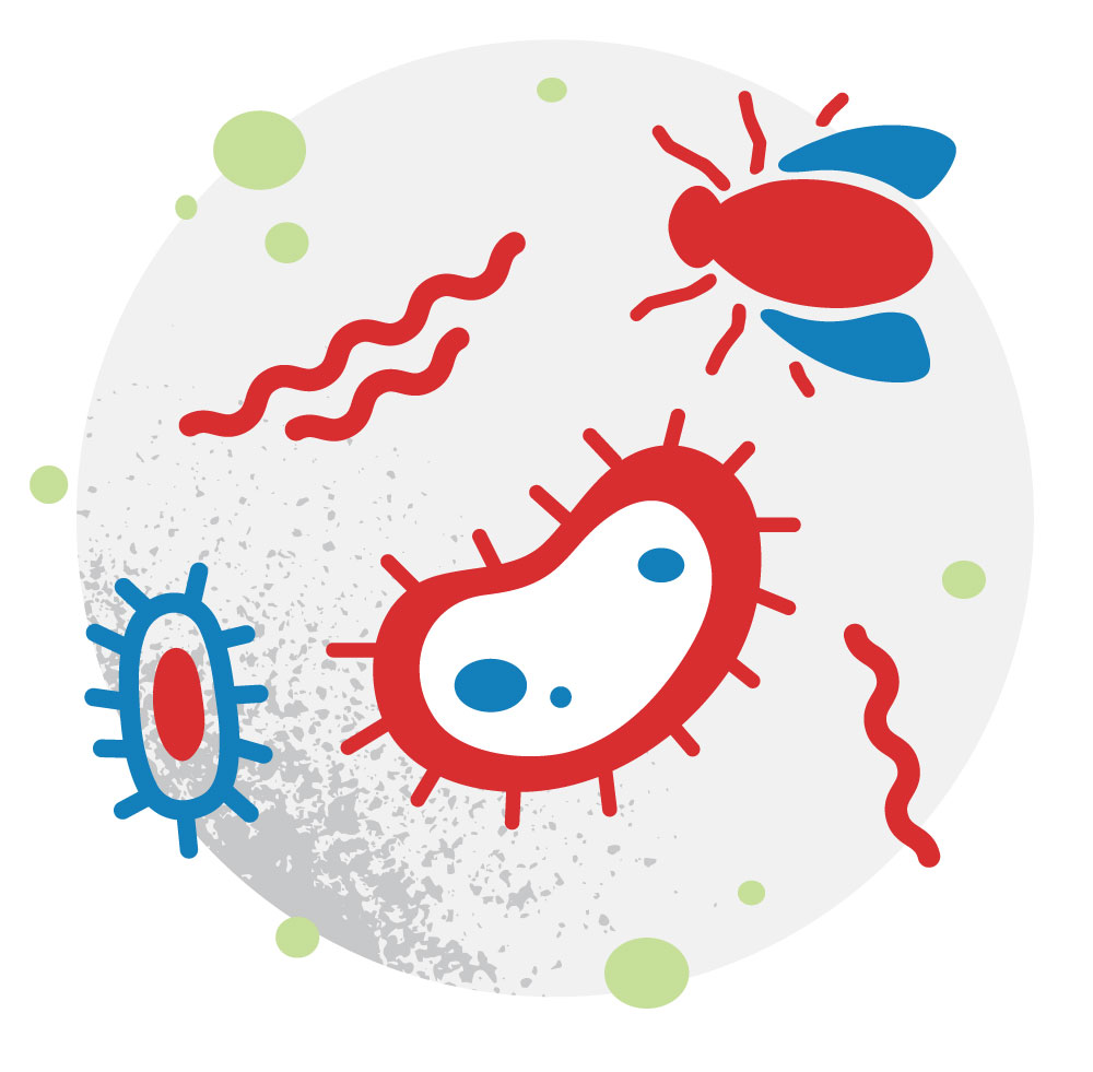 ccc_germs.jpg