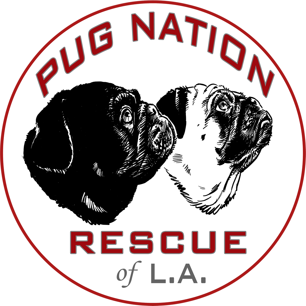 Pug Nation Rescue of LA