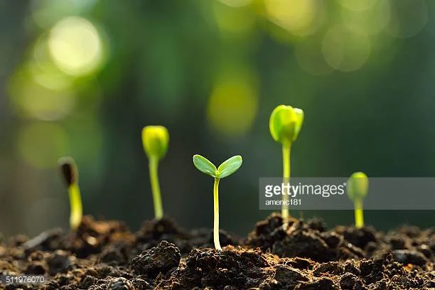 Photo by amenic181/iStock / Getty Images