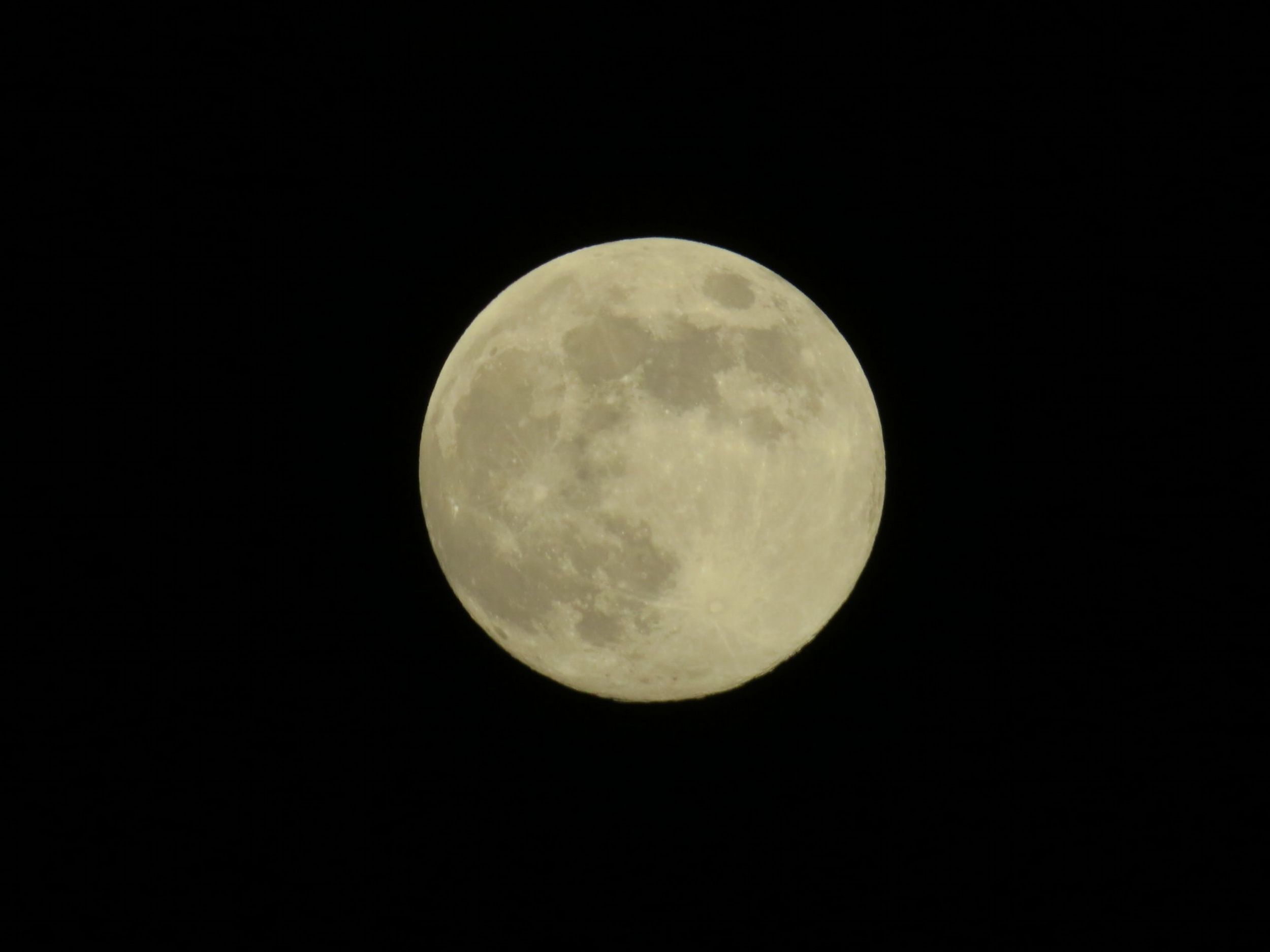 Howling for the Moon: Werewolves and other Transformation Creatures