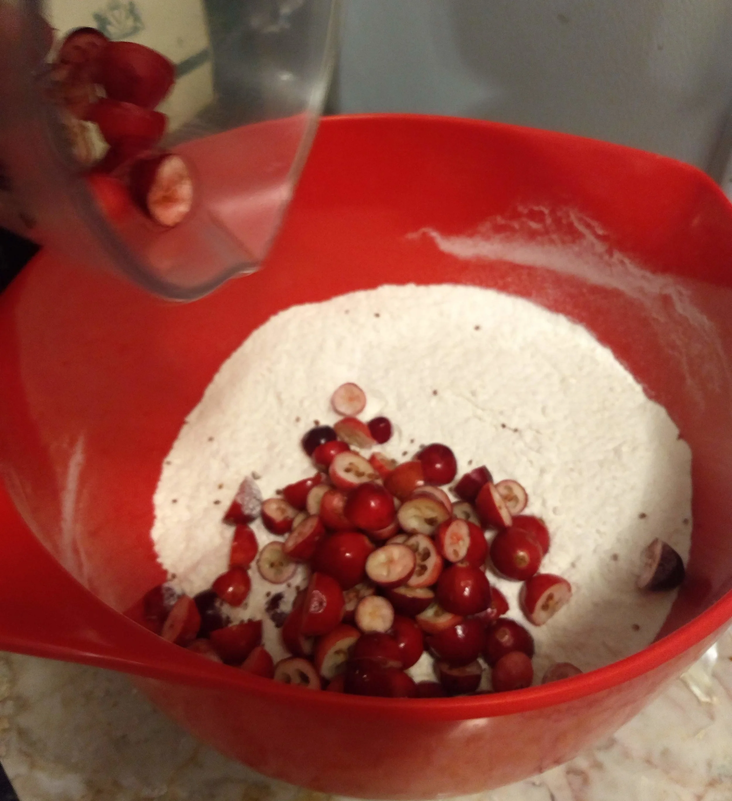 Step 4 (adding berries)