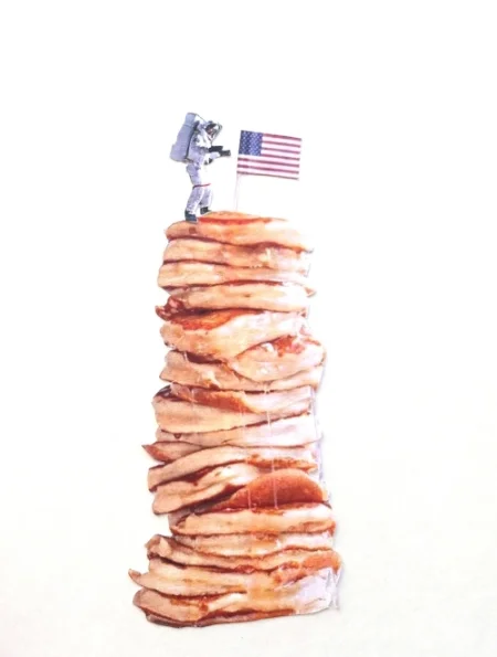  “It was a Small Step for Stan but One Giant Heap of Pancakes”  2017  collage on paper  SOLD 