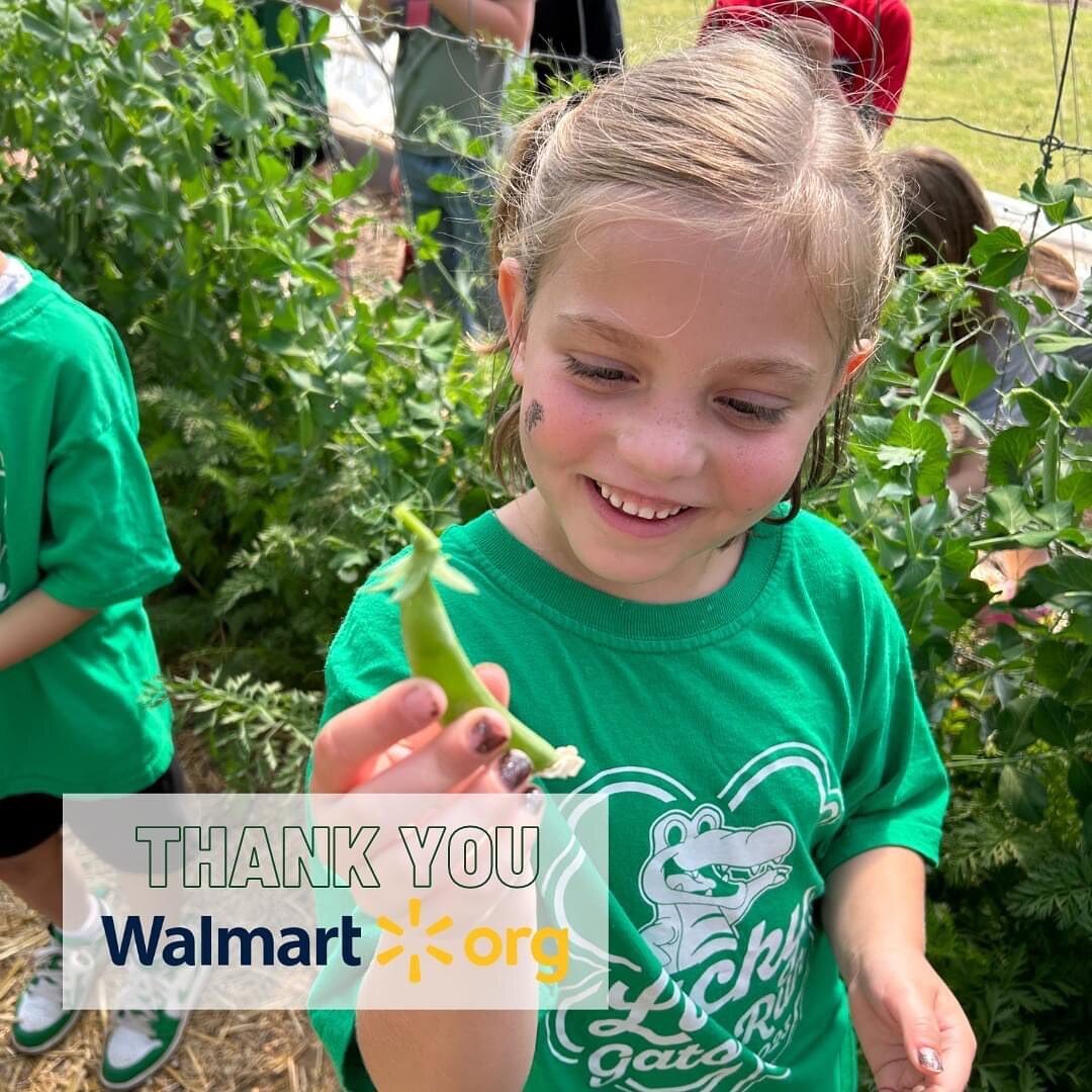 Thanks to our friends at the @walmart Foundation, we have hosted thousands of students at the farm this spring for field trips where they learn about the importance of eating fruits and vegetables and get to be hands-on in their learning process.  St