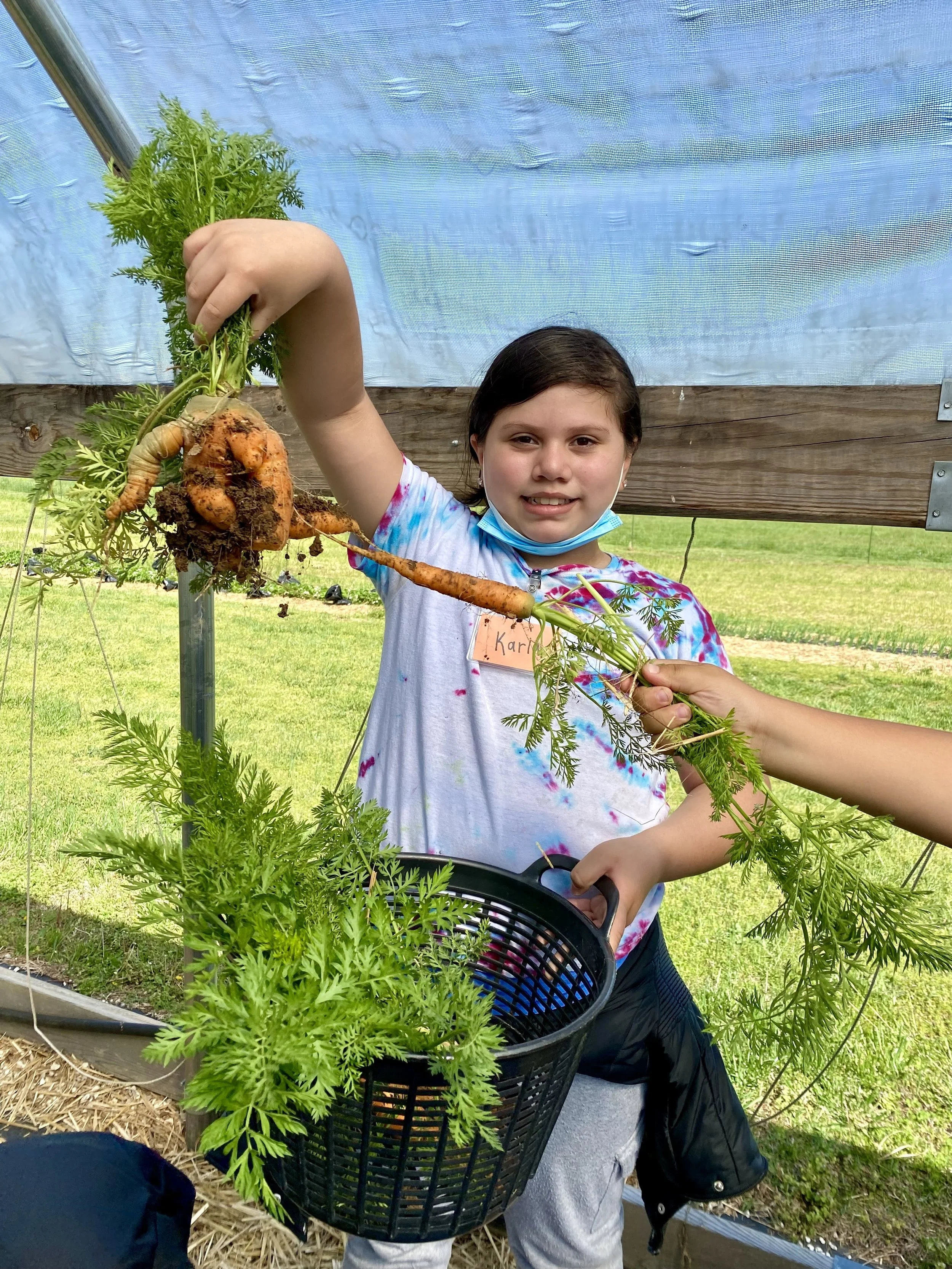 A girl holding up a large carrot
