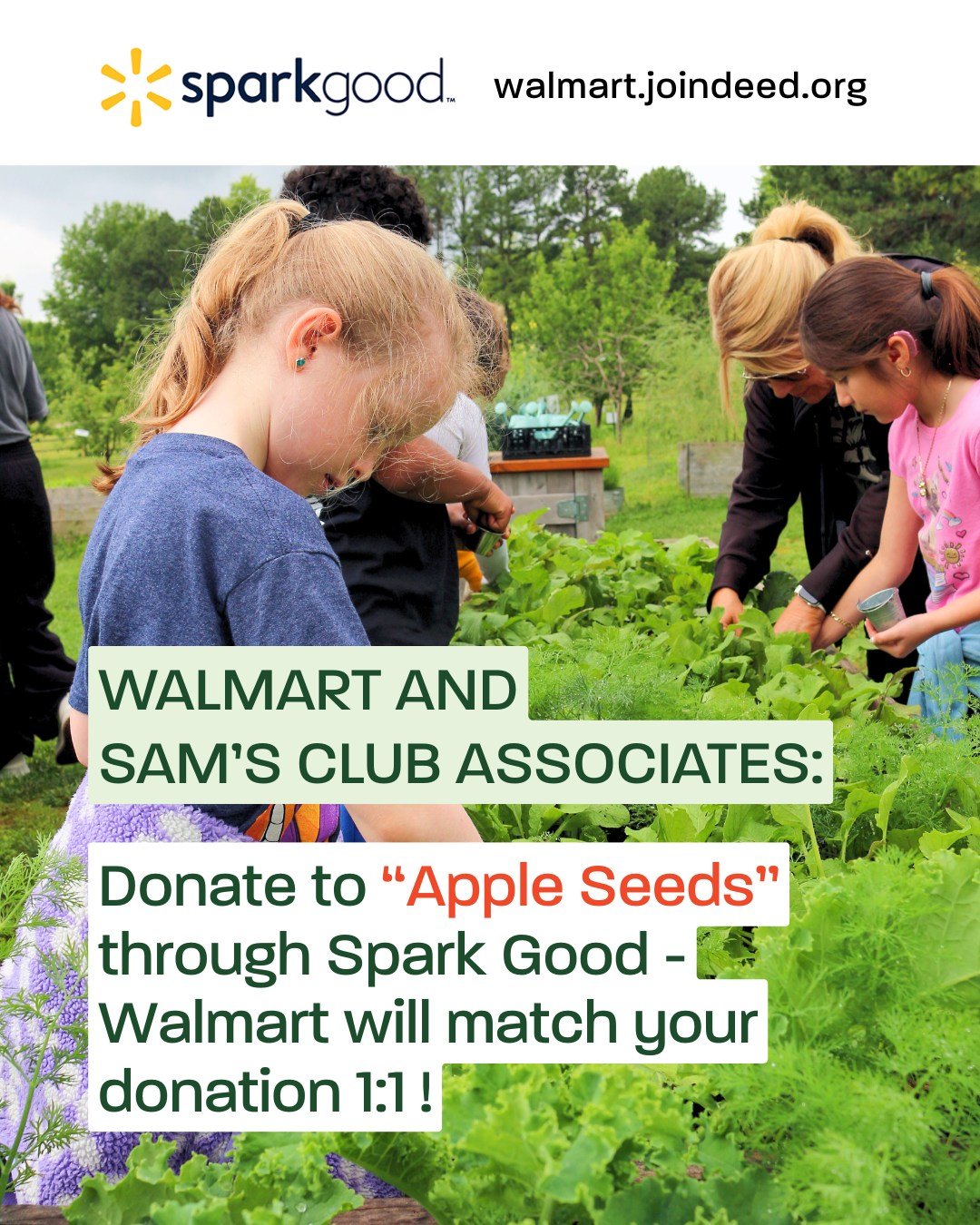 ‼️Are you a Walmart or Sam&rsquo;s Club Associate? ‼️

Now through June 30, Walmart and Sam&rsquo;s Club will match your donation 1:1 through Spark Good, for a total of up to 2 million!!

Choose Apple Seeds Inc. as your nonprofit of choice to double 