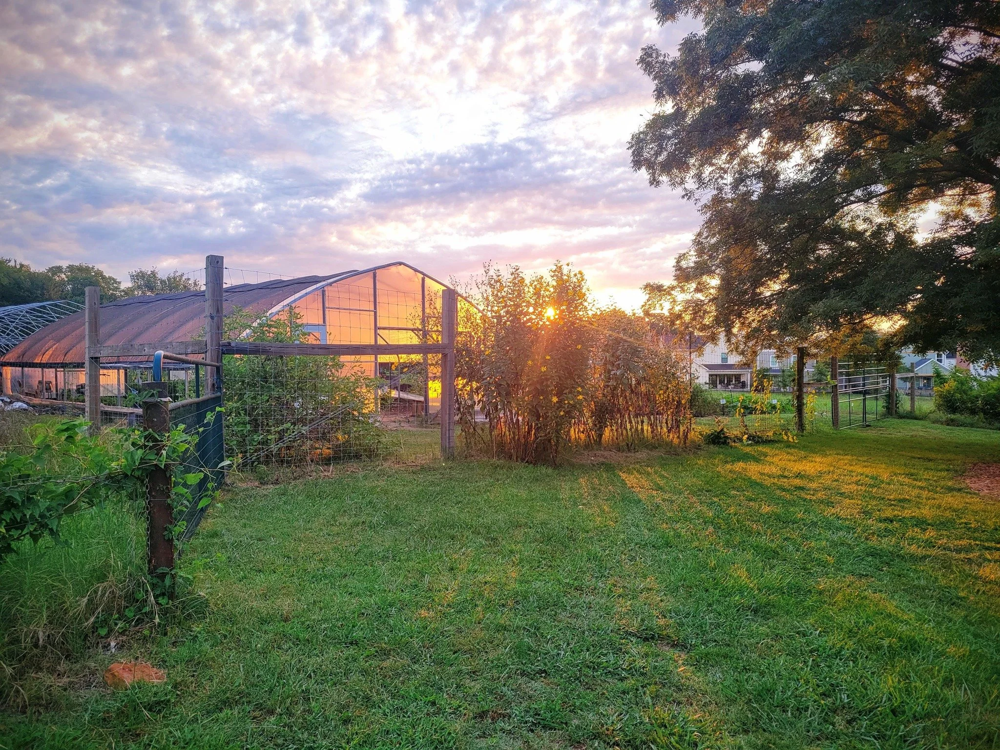 We can&rsquo;t get enough of these crisp fall mornings on the farm! 🌞🍂

It&rsquo;s the perfect setting for students to discover where their food comes from, surrounded by sunshine, fresh herbs, and the beauty of nature.

We hope the rest of your we