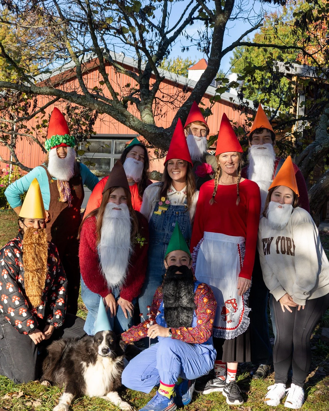 We've had a sudden infestation of garden gnomes!! 🎃

Our staff got into the Halloween spirit today and filled the farm with these mischievous little guys before jumping into another amazing day of programming. 👻🌱

#Halloween2025 #SpookySeason #Gar