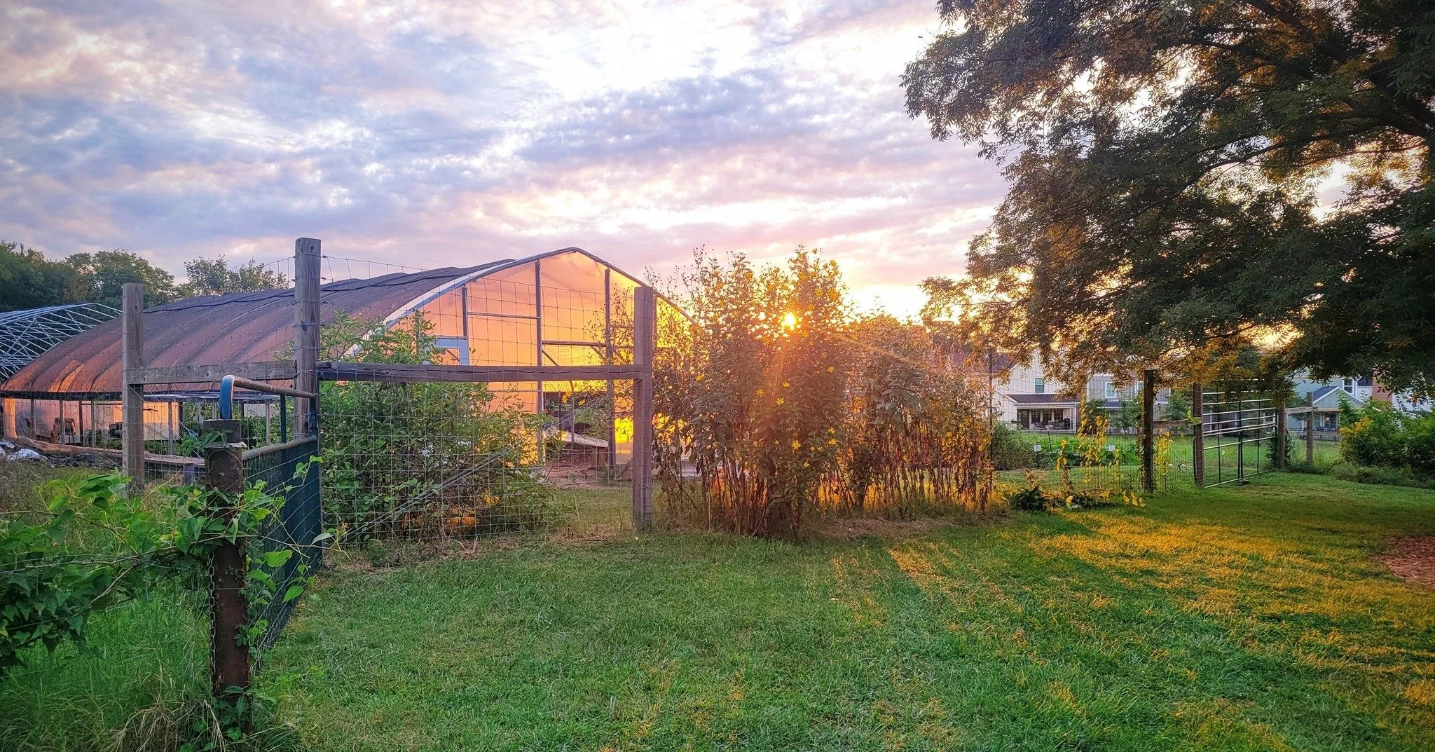 A fresh year is a chance to plant new seeds. 🌱

We&rsquo;re looking ahead with excitement and gratitude as we continue expanding our impact across Arkansas. Happy New Year from Apple Seeds! 🍎

#HappyNewYear #NewYearNewBeginnings #PlantingSeeds #Gro