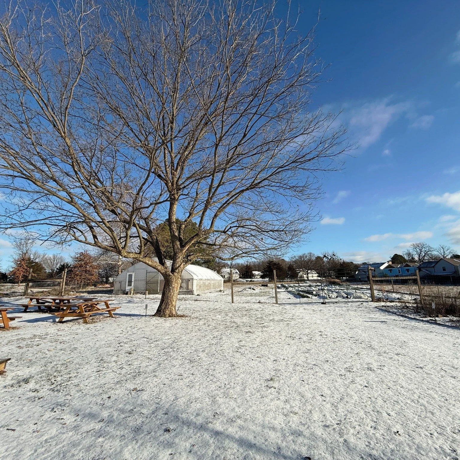 Snow bound and needing some veggies? ❄️

These kid-approved bites make staying in a little more delicious.
🥦🍲 Explore our favorite cold-weather recipes: Link in Bio!

#SnowDayEats #KidApproved #FamilyMeals #HealthyKids #ColdWeatherCooking #EatYourV