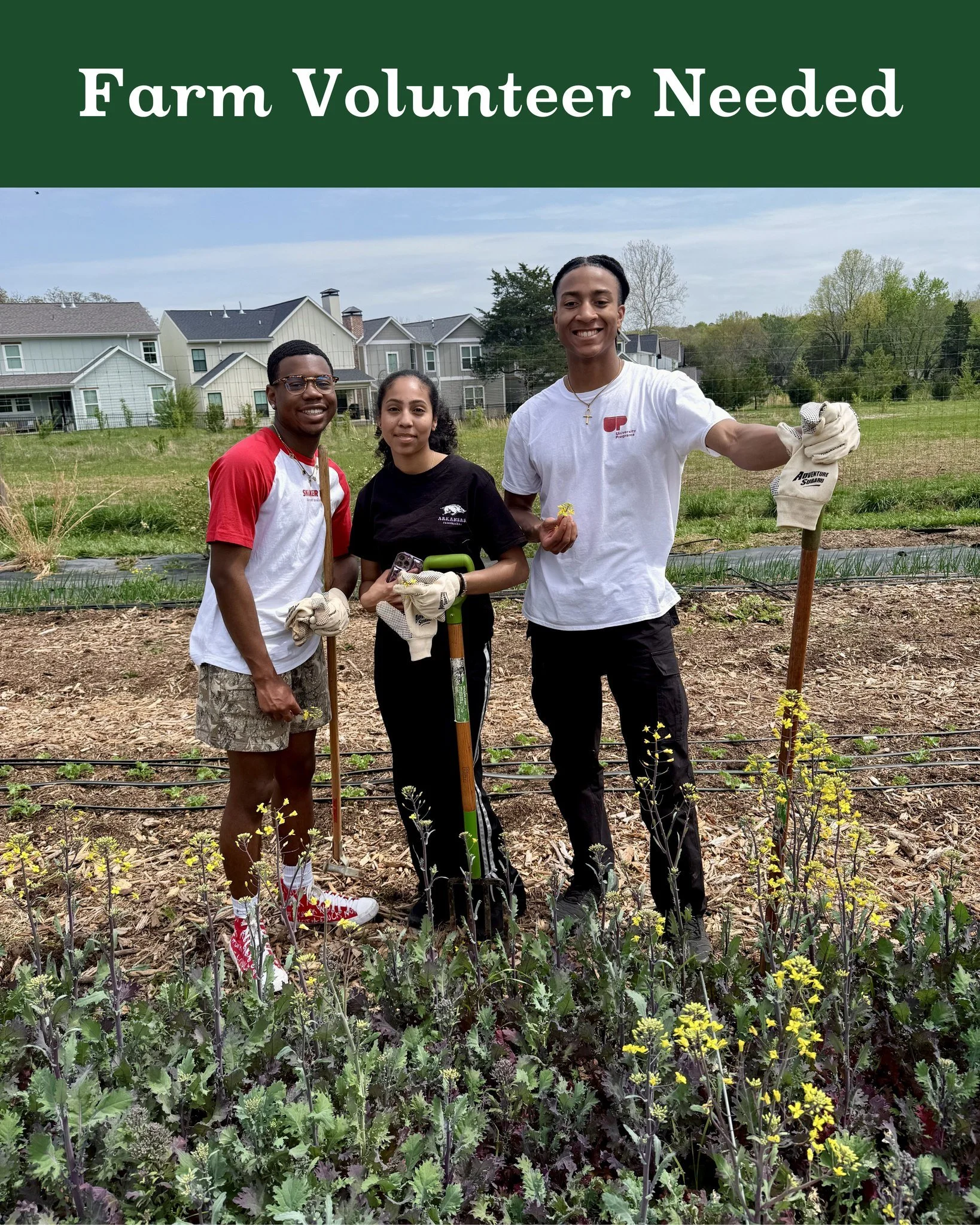 👩&zwj;🌾 Farm Volunteers Needed at Apple Seeds 🌱
Enjoy the peaceful setting of our Teaching Farm while helping with planting, weeding, composting, mulching, and garden prep. No experience needed, just a willingness to learn and get your hands dirty