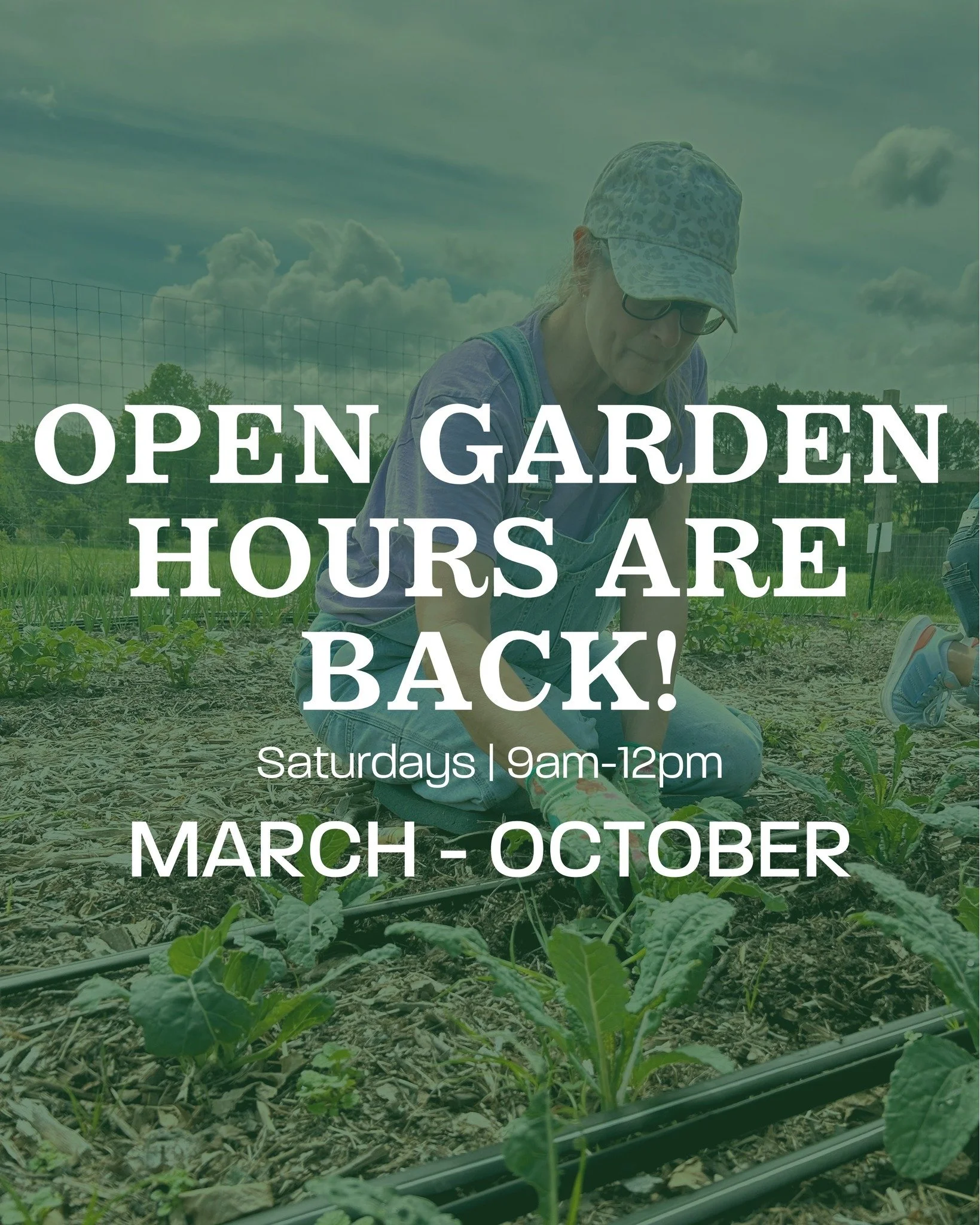 We are happy to announce the return of open garden hours on Saturdays! 🌱

Join us on the farm for a morning of hands-on time in the garden. Open to families and individuals of all ages, these sessions offer a chance to learn, help, and connect with 